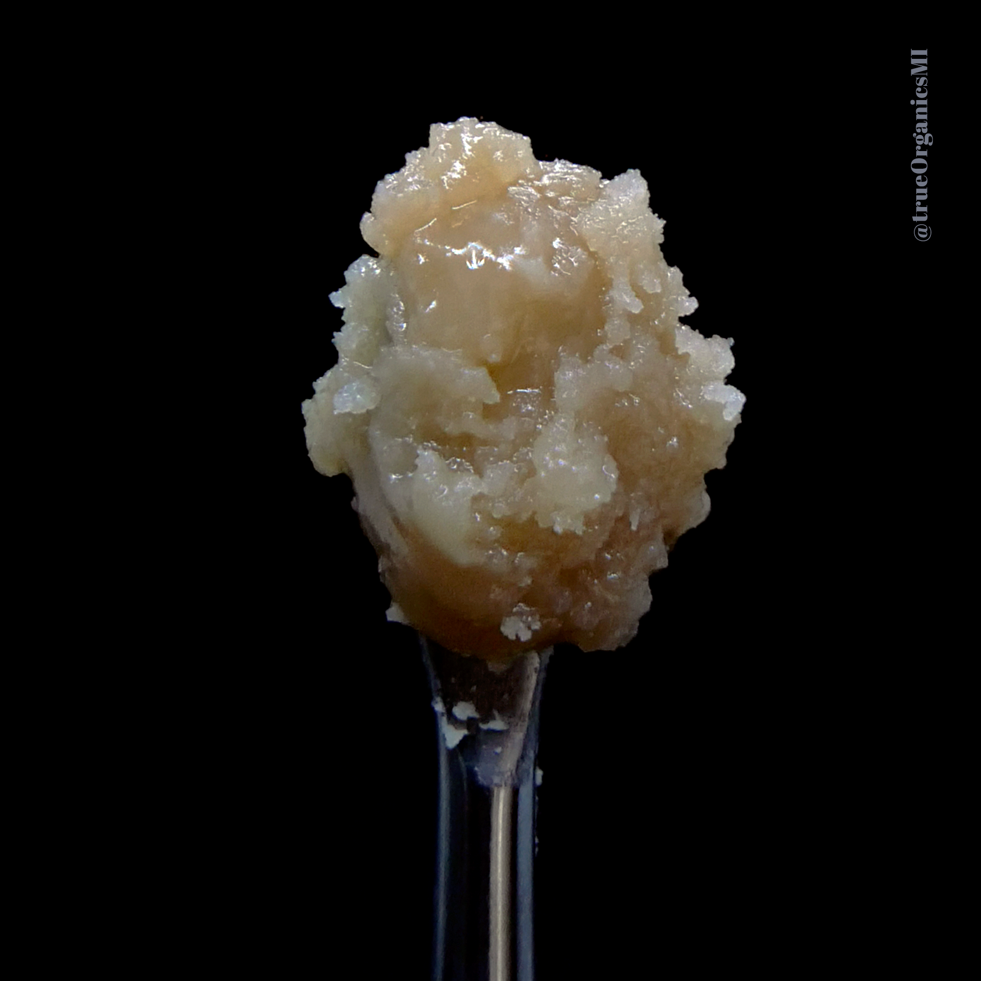 Bananaconda Live Rosin