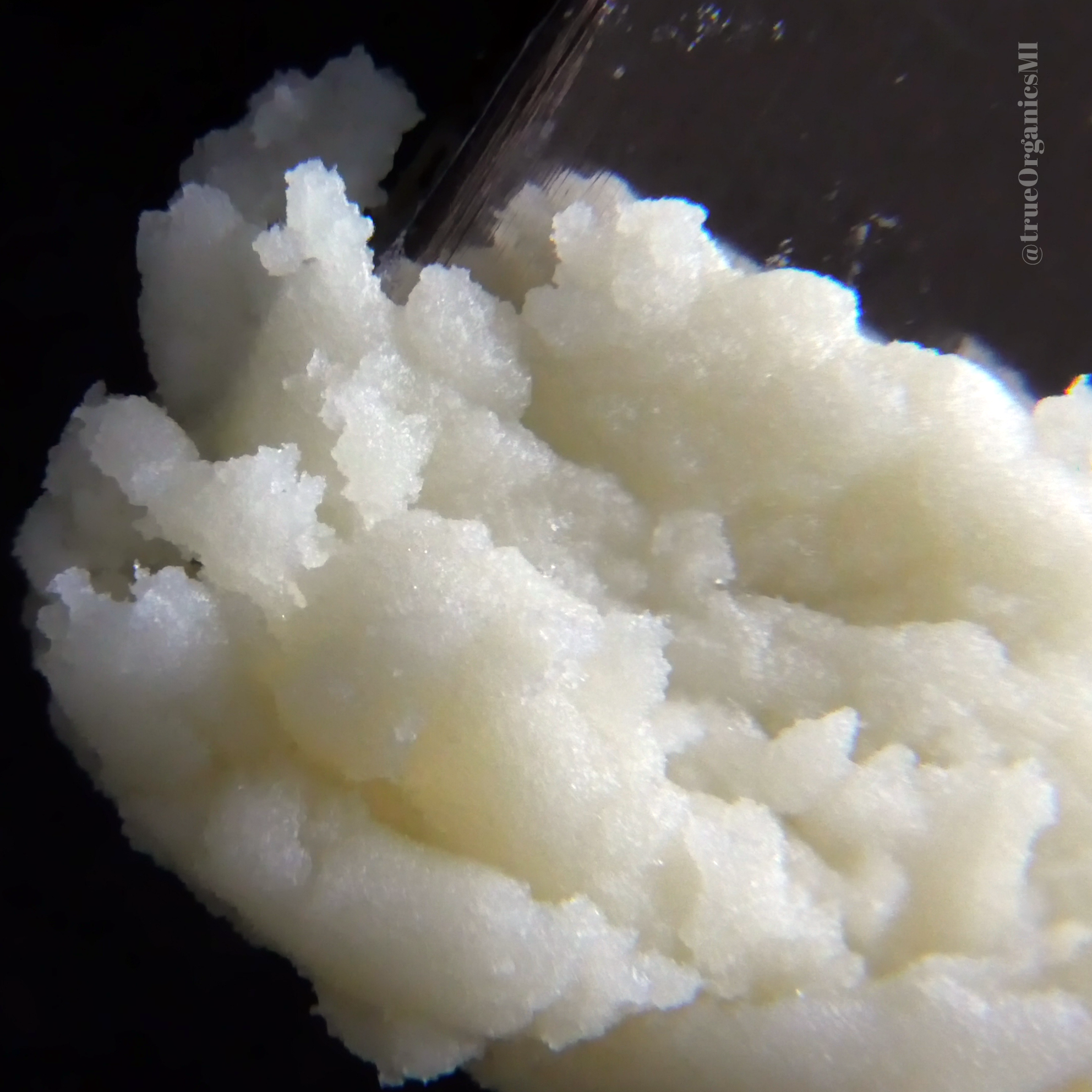 Papaya Juice Strain by True Organics Organic Cannabis