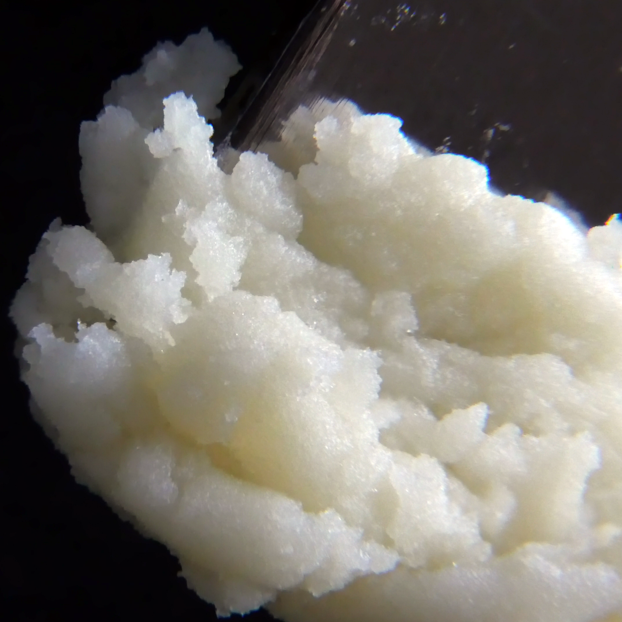 True Organics Papaya Juice Live Rosin