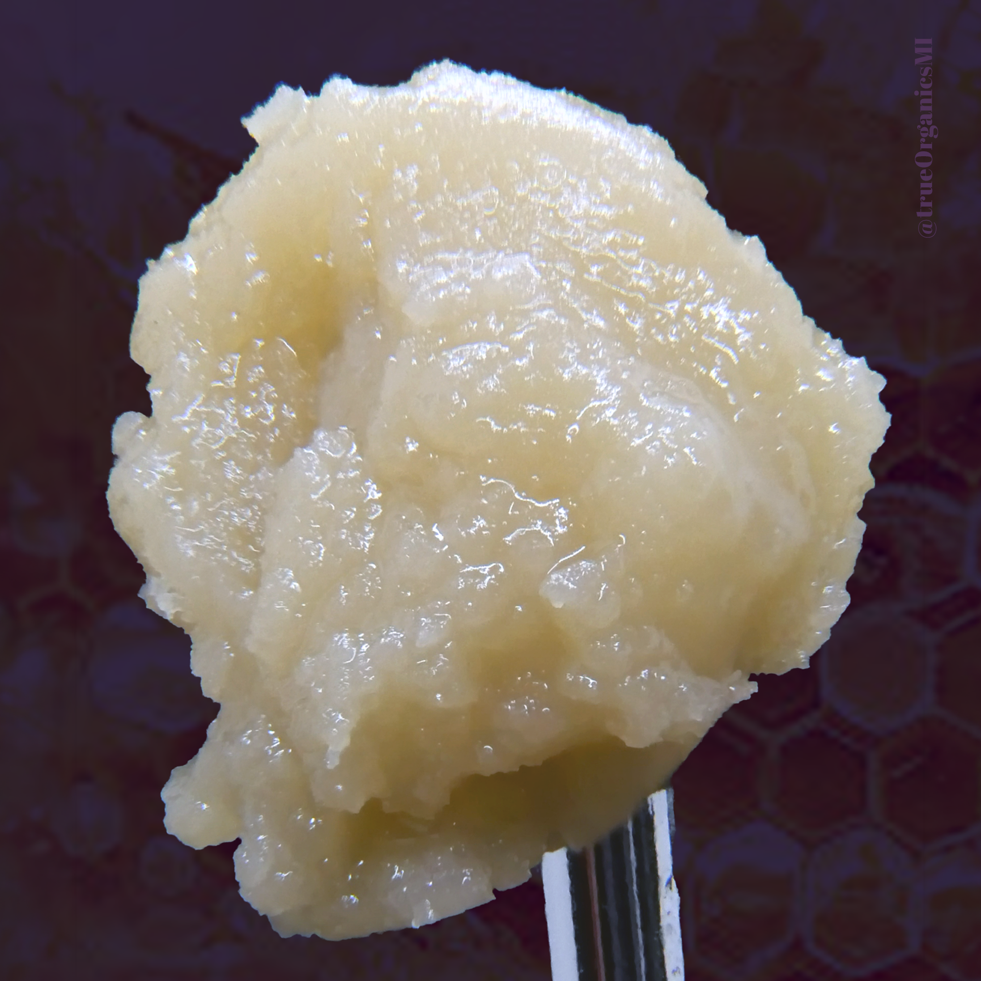 Honey Runtz Strain by True Organics Organic Cannabis Michigan