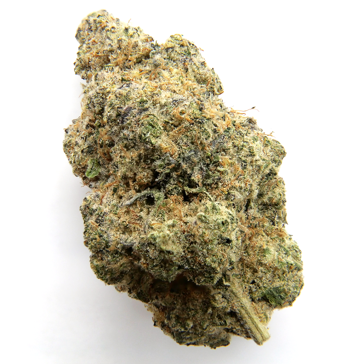 Onion-Juice-Strain-True-Organics.png