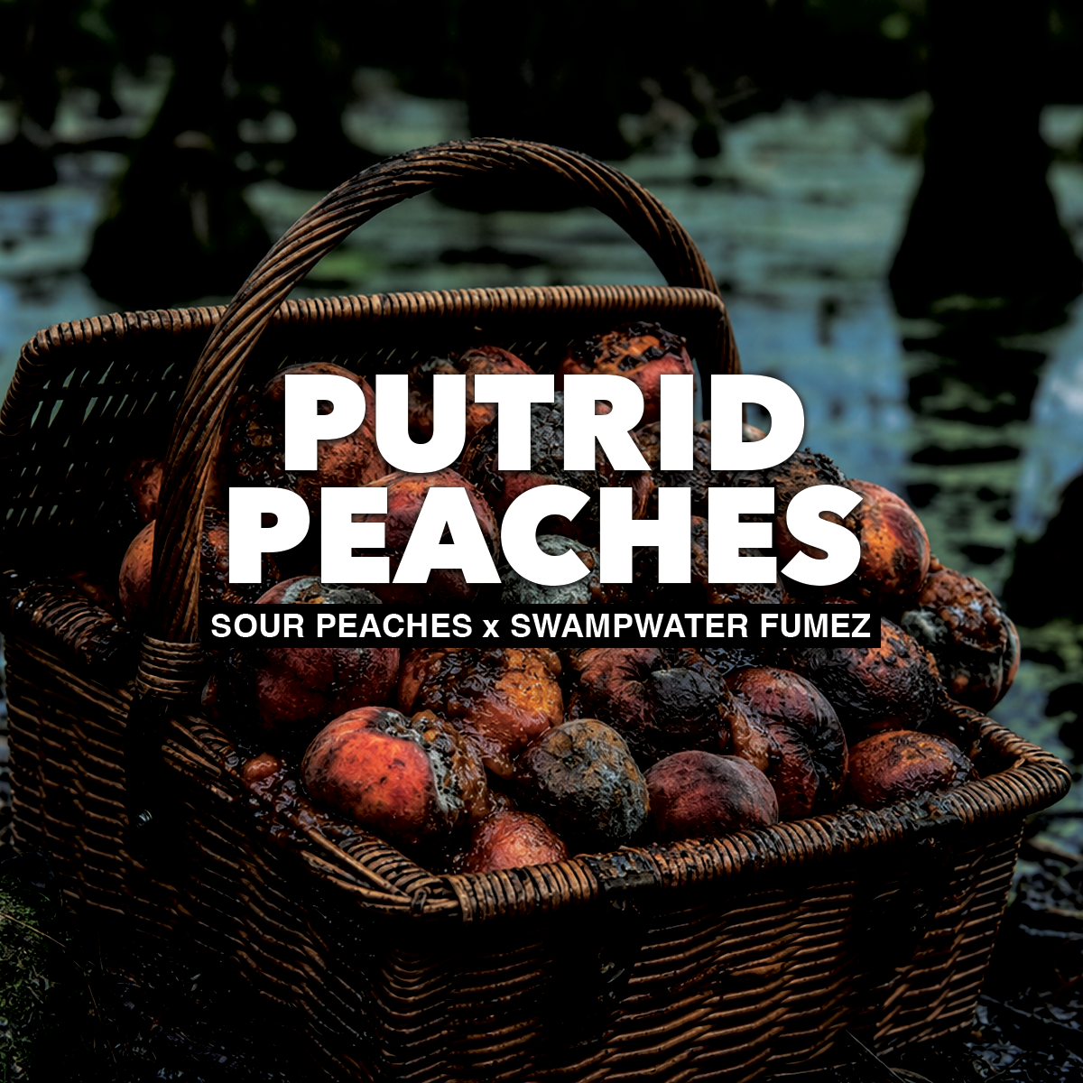 Putrid Peaches Cannabis Strain