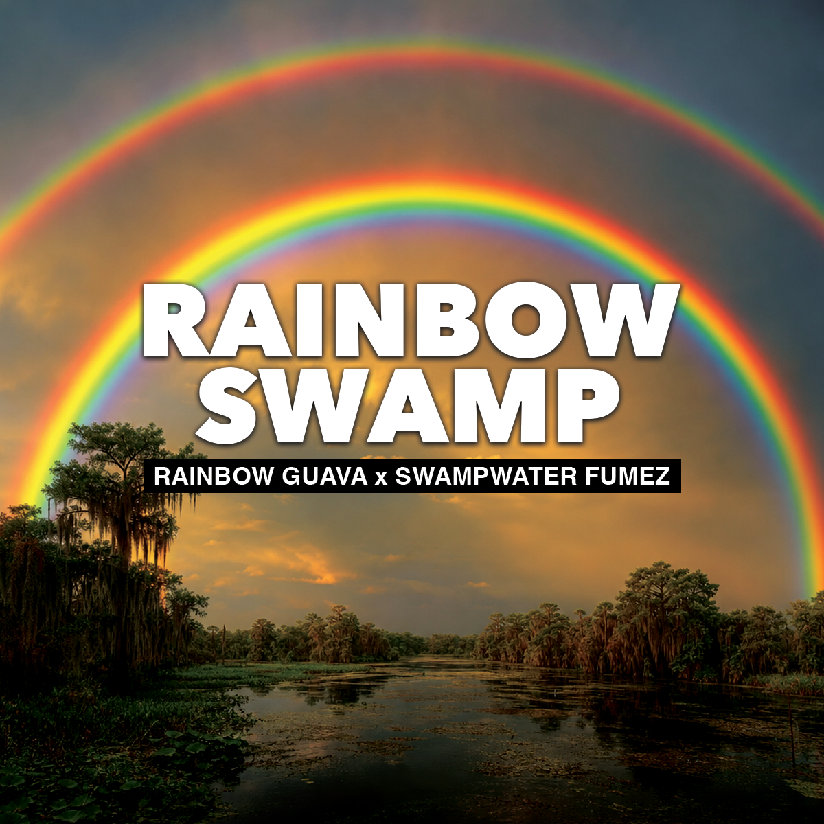 Rainbow Swamp Cannabis Strain