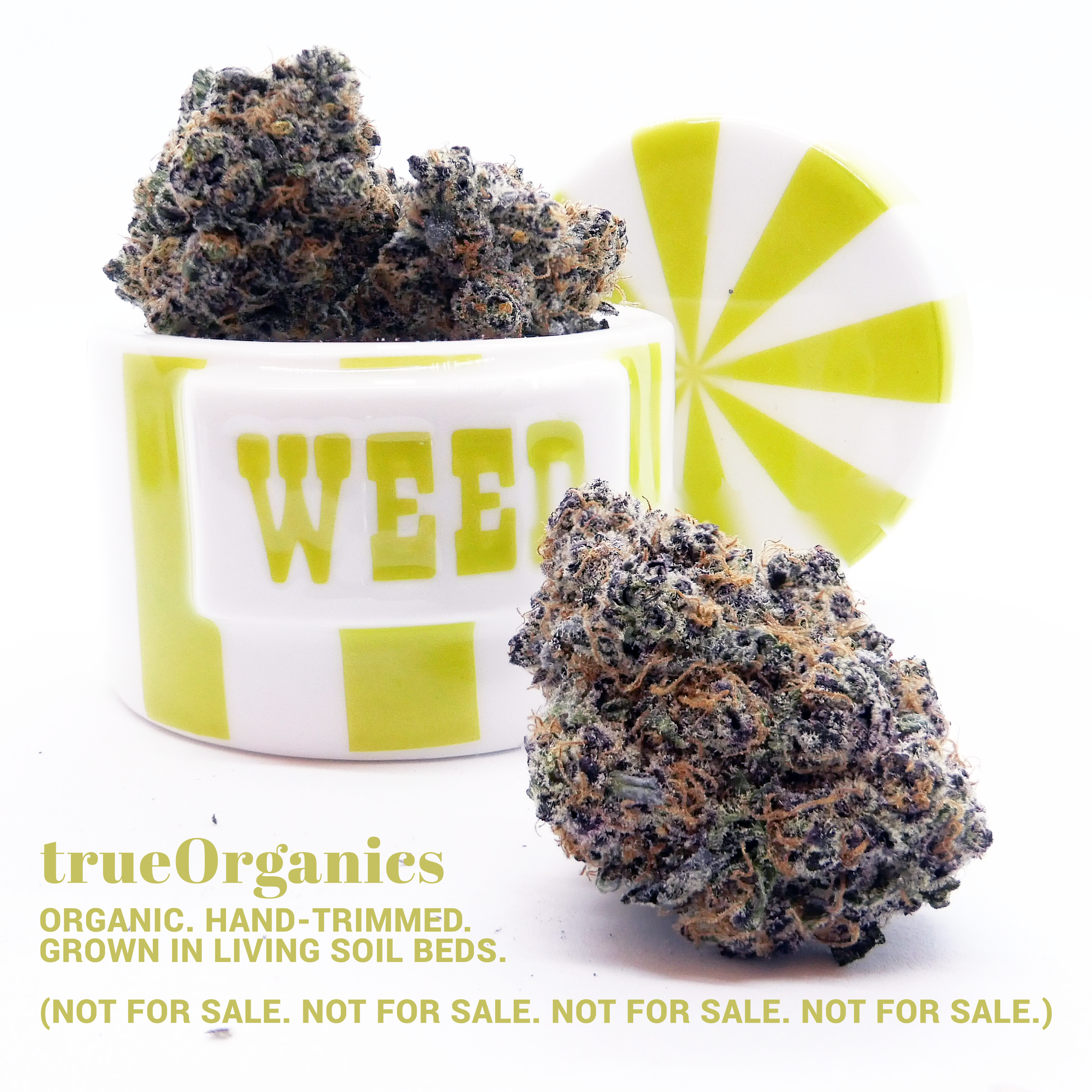 Jonathan Adler Weed Cannister