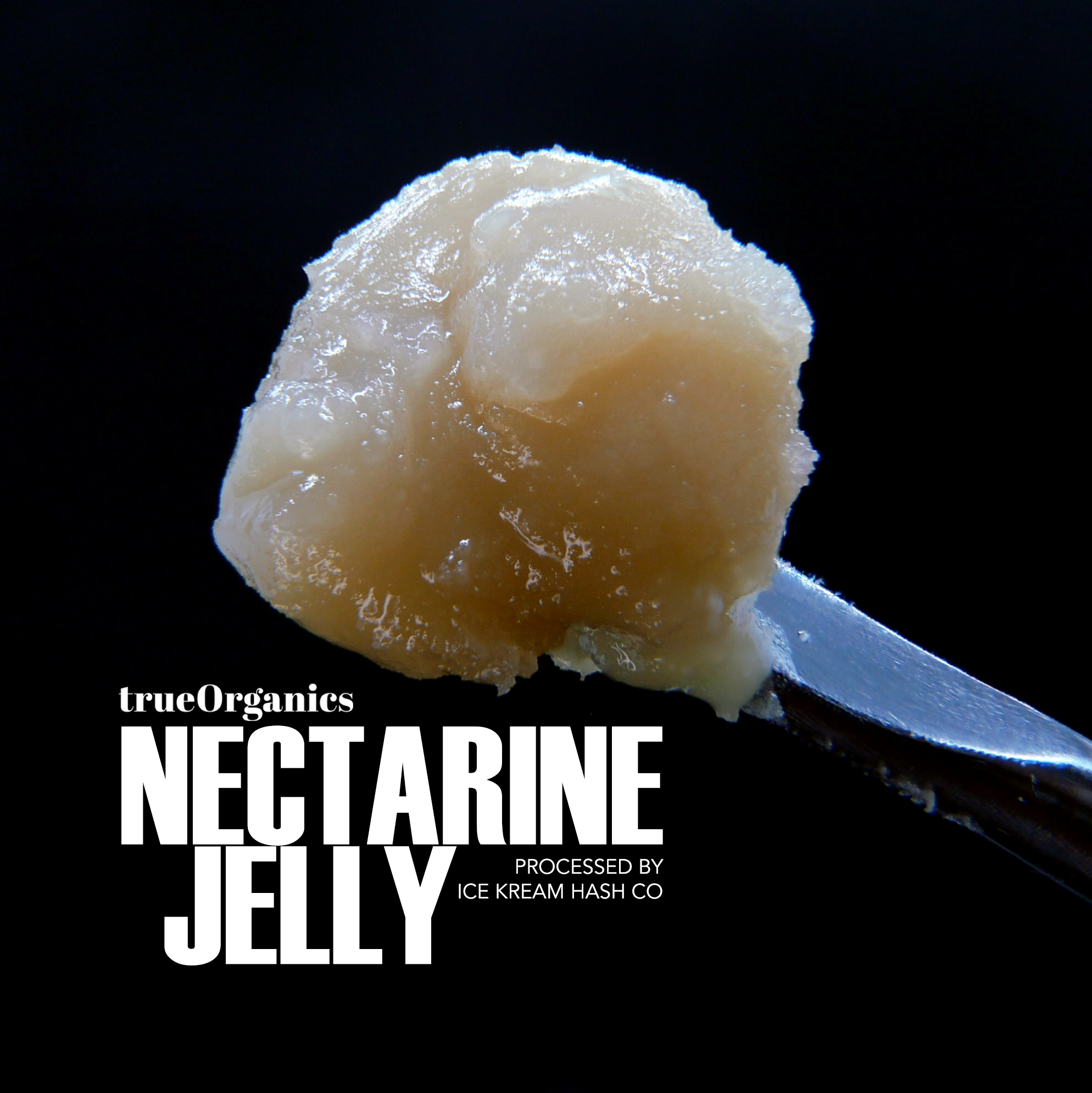 Nectarine Jelly Dab
