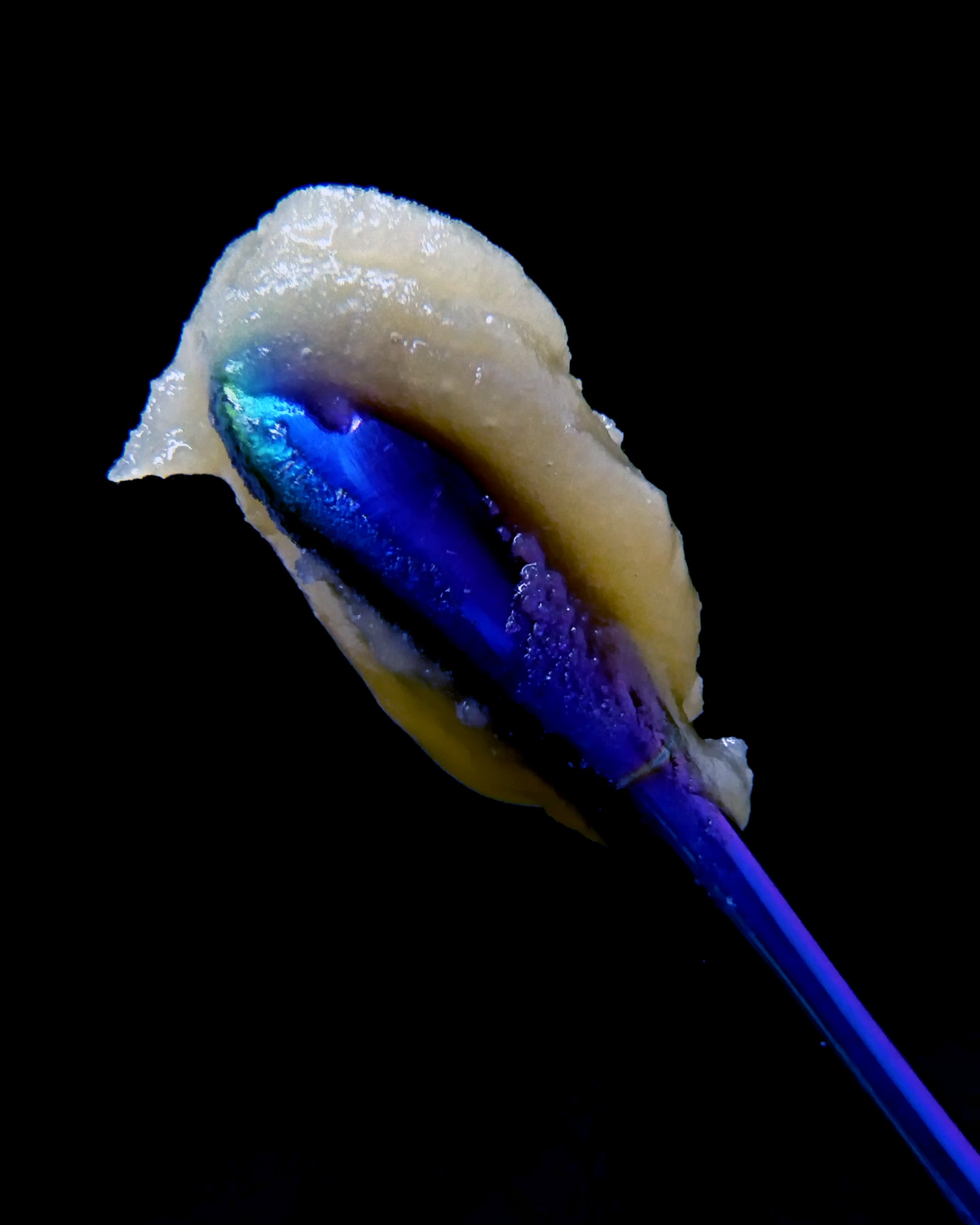 super-mon-rosin-back.jpg