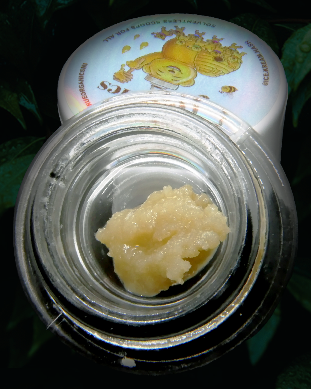 Honey Runtz Rosin Jar True Organics x Ice Kream Hash Co