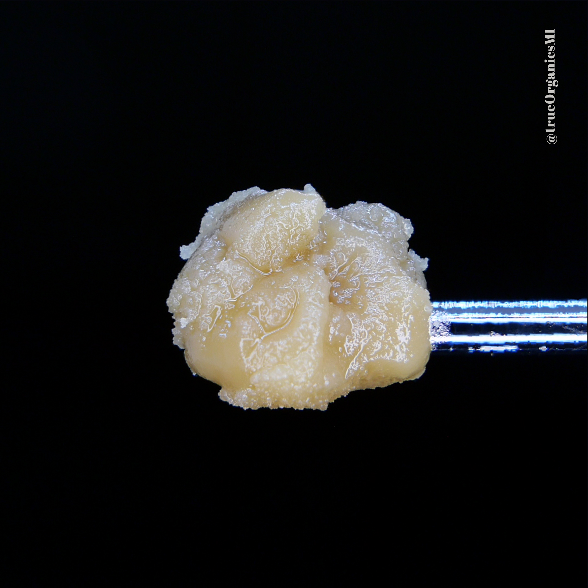 Sour Peaches Live Rosin