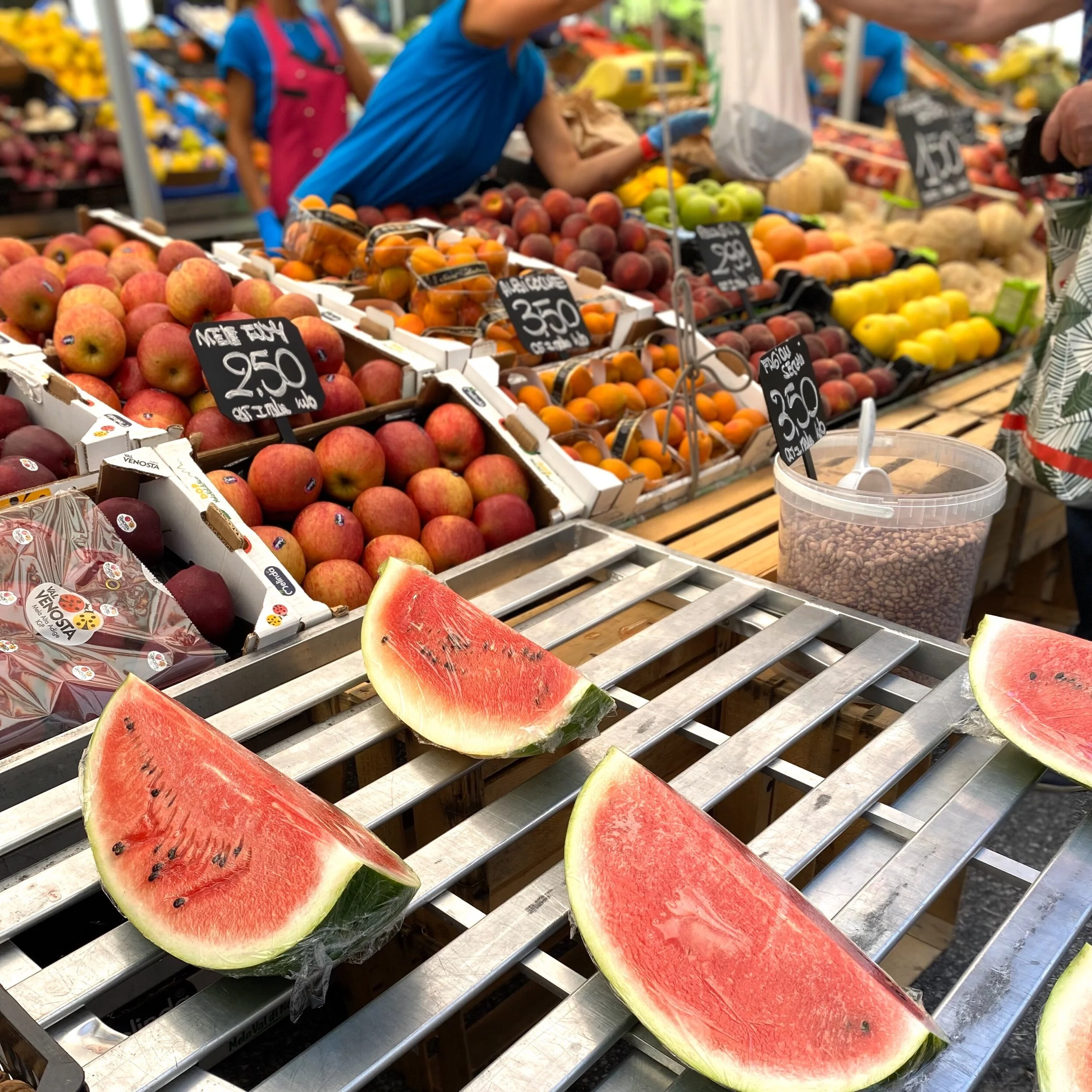 2日目：イルピッコロ・ヴィオリーノマジコ国際コンクール