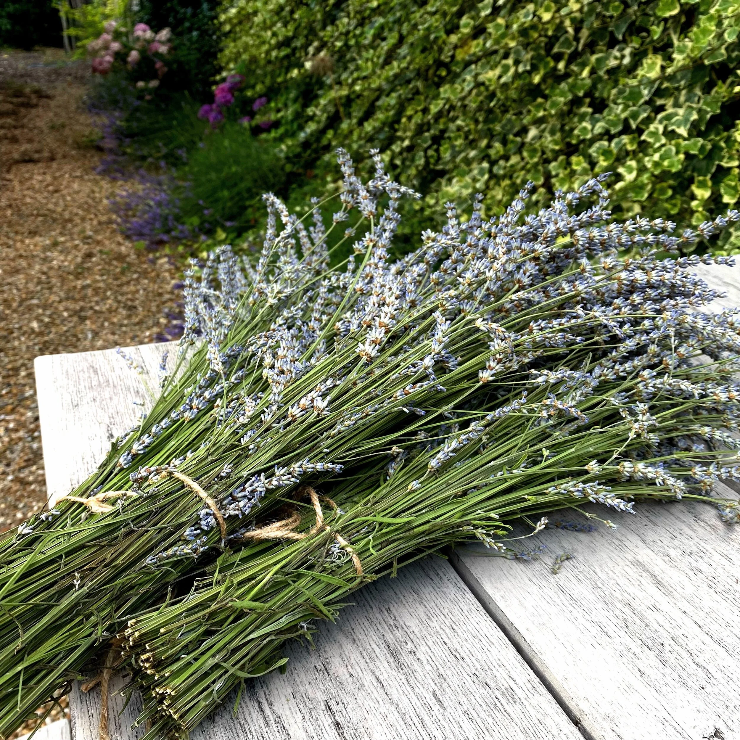 12歳の男の子が「ノート術」実践してくれて快進撃！！