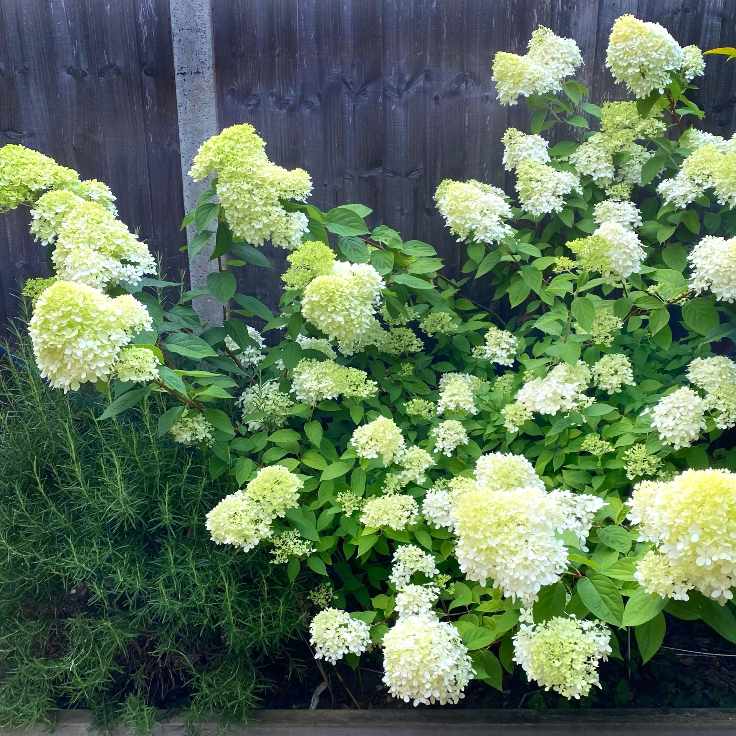 自分にも周りにもやる気を出させる言葉がけ