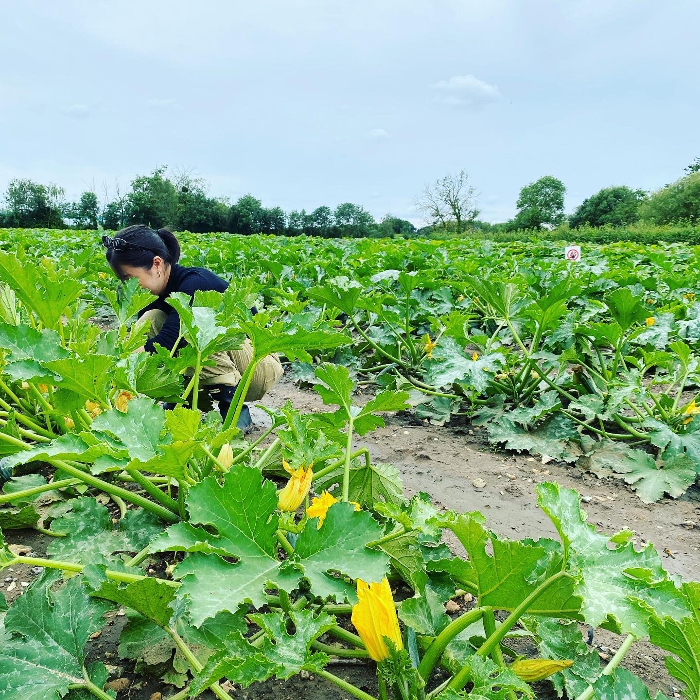 セルフイメージアップ7日間チャレンジ！