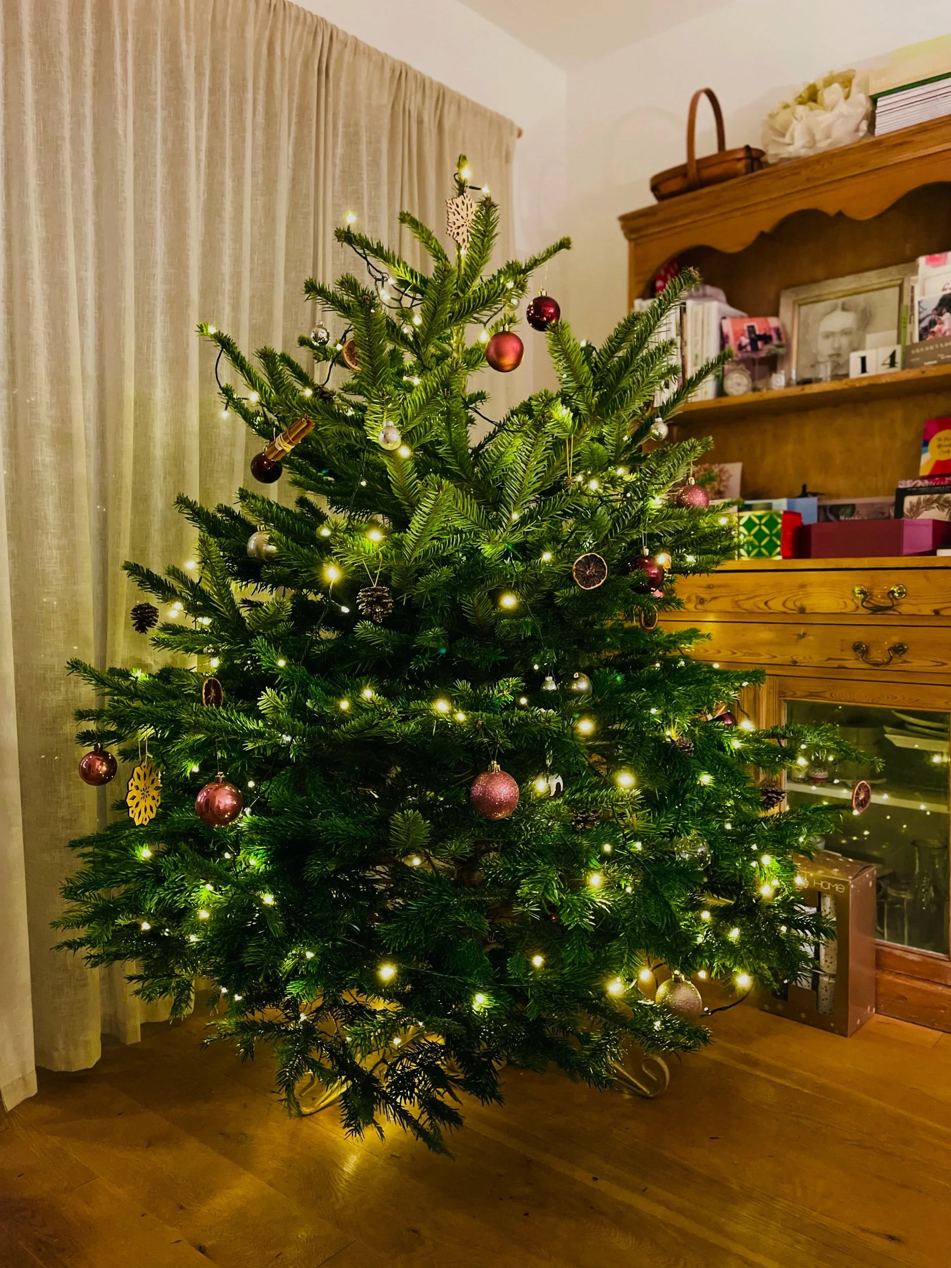 『毎週楽しみで、脳を刺激してもらっていました！』子供の才能を伸ばしたい親と指導者のための４つのマスタークラス！