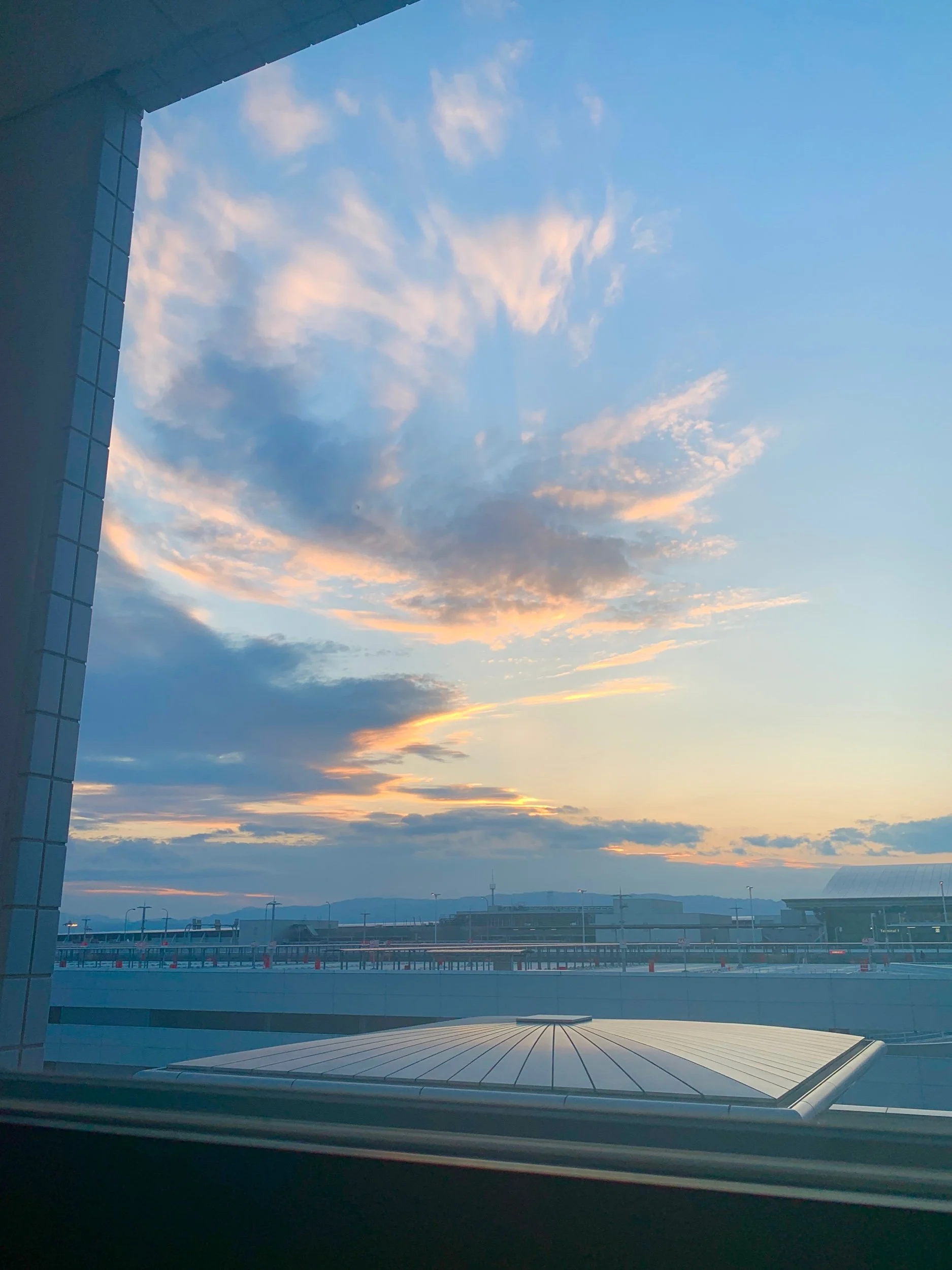 日本に無事一時帰国しました