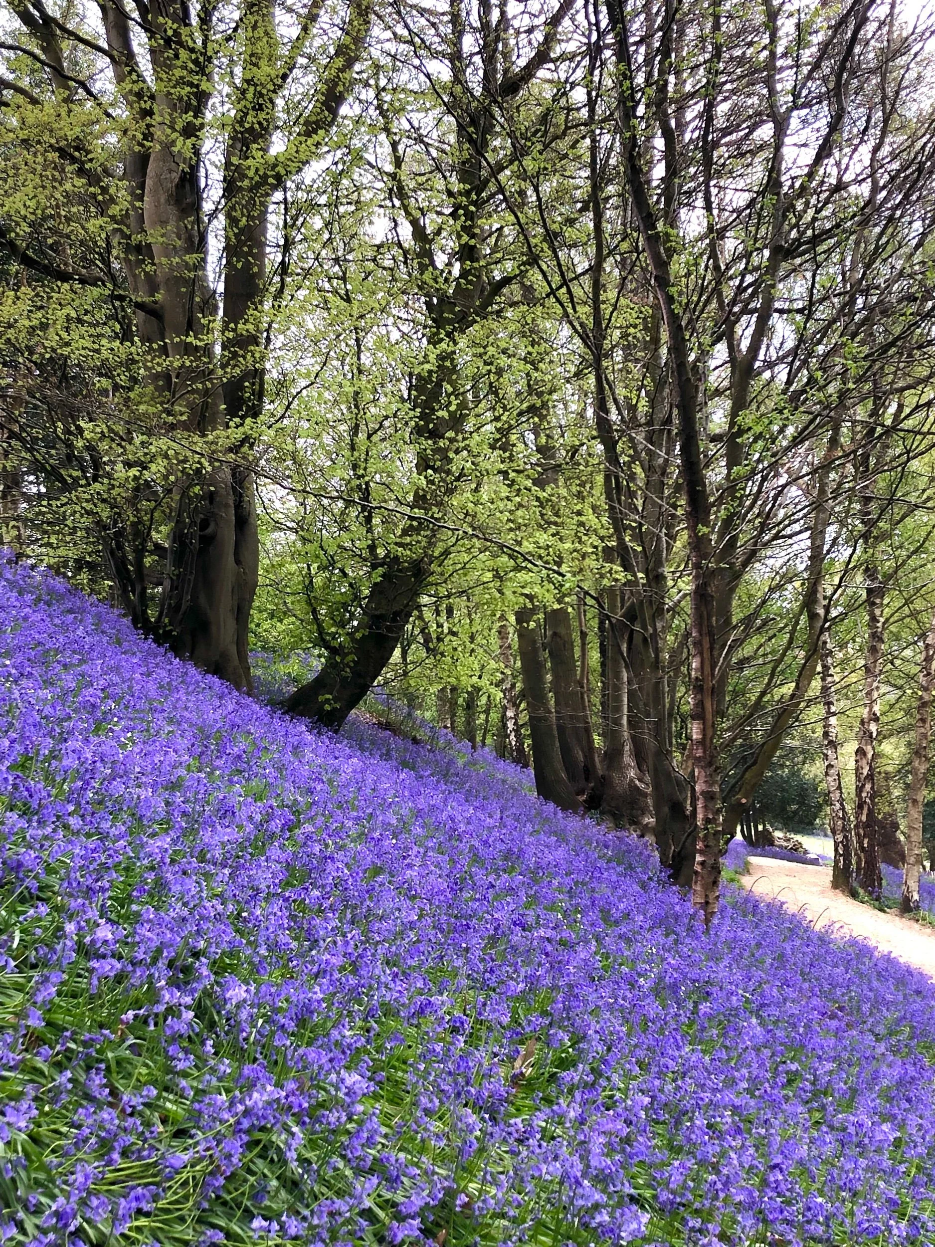 私の人生の転機！希望と不安から始まったイギリス生活も後半戦スタート！