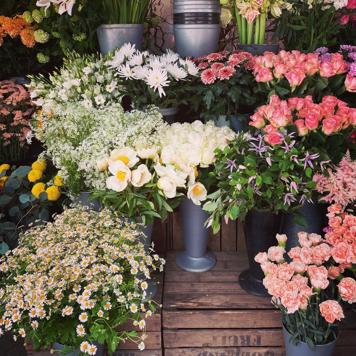 受講生さんのお声【学生時代に知りたかったです！】