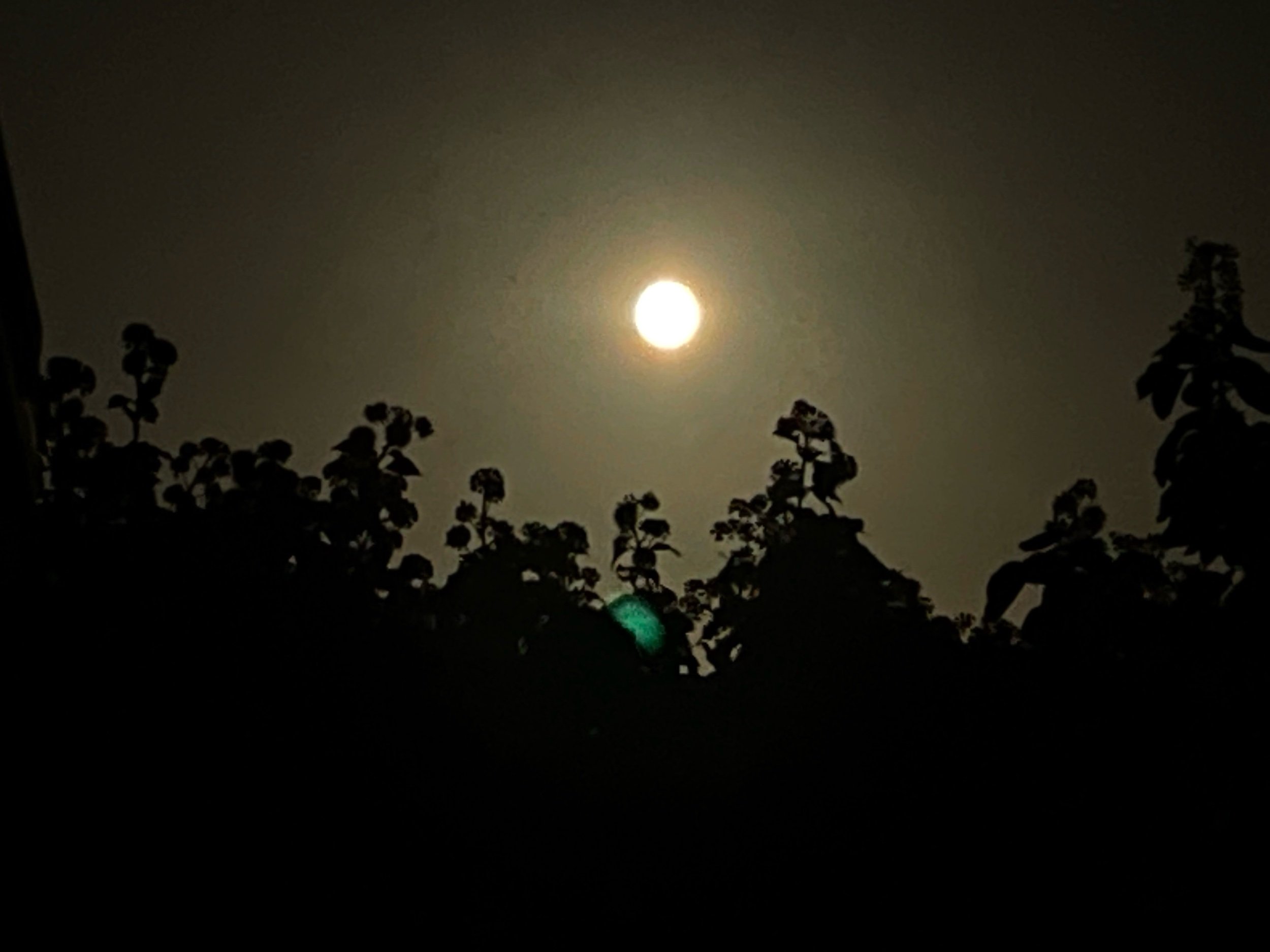 自分も周りもさらに成長していくには？？