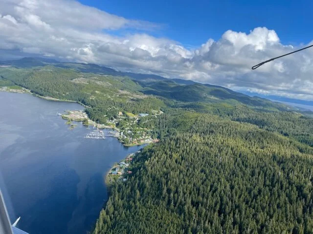 Thorne Bay from the air