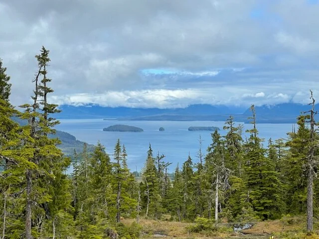 View from Raven Trail, outside of Petersburg