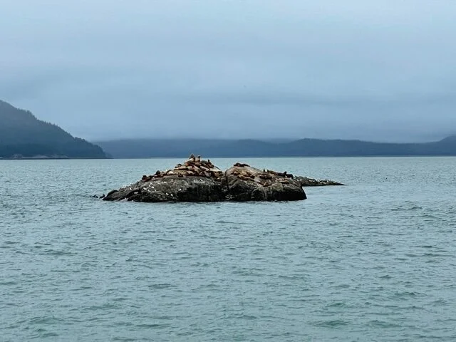 Sea Lion Island (Glacier Bay)