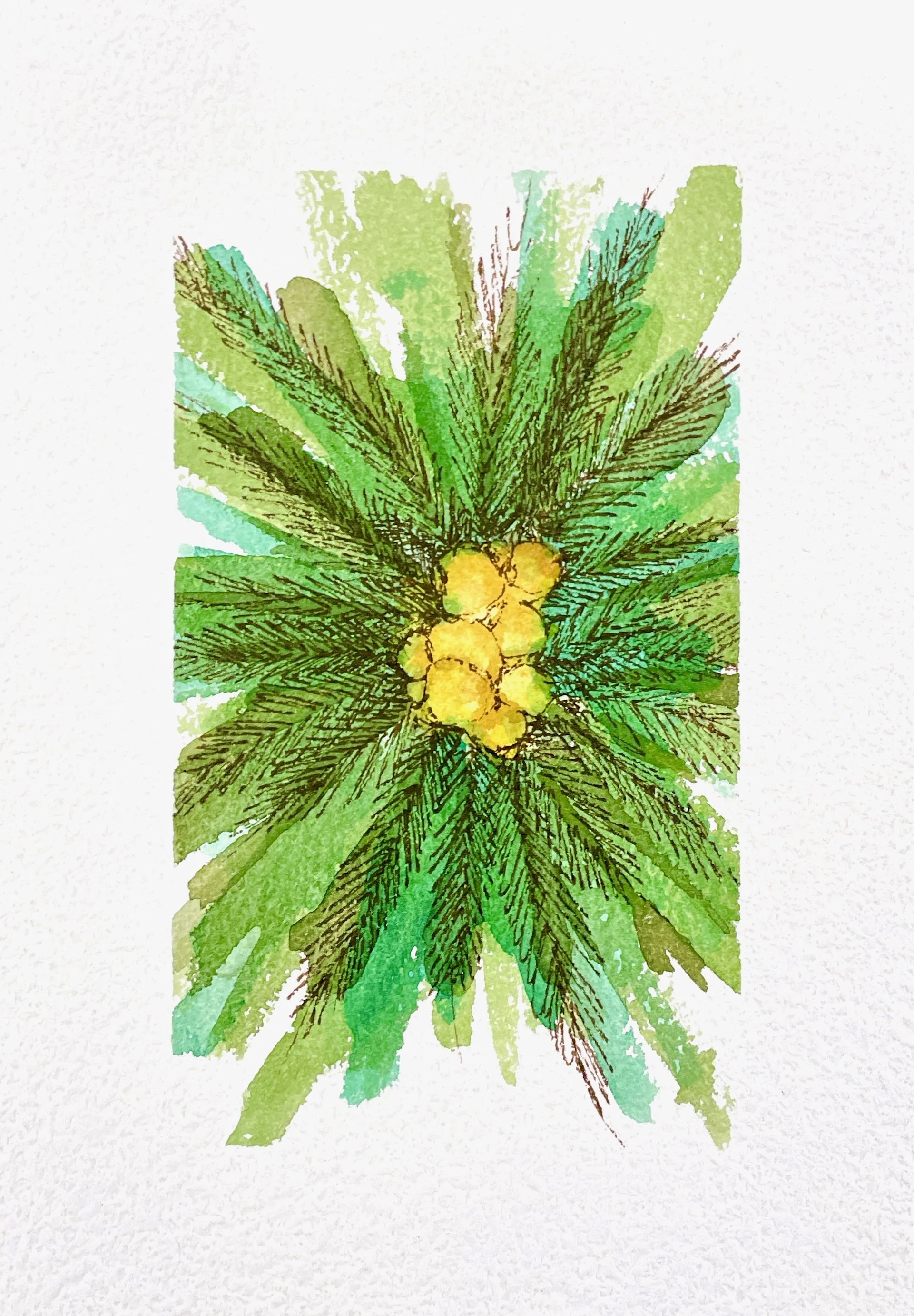 2021-12-16 08-01.jpeg