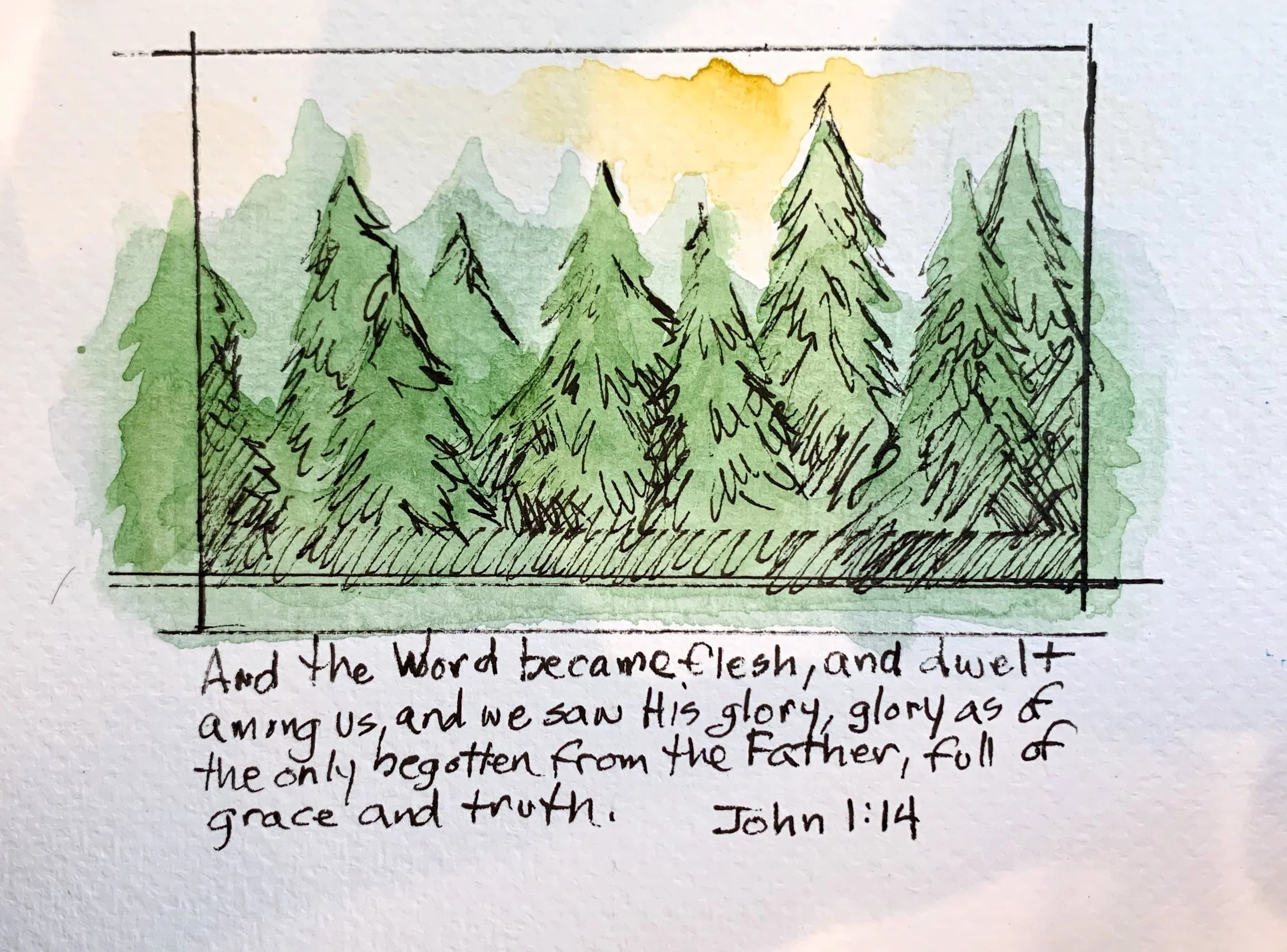 2020-11-15 13-49.jpeg