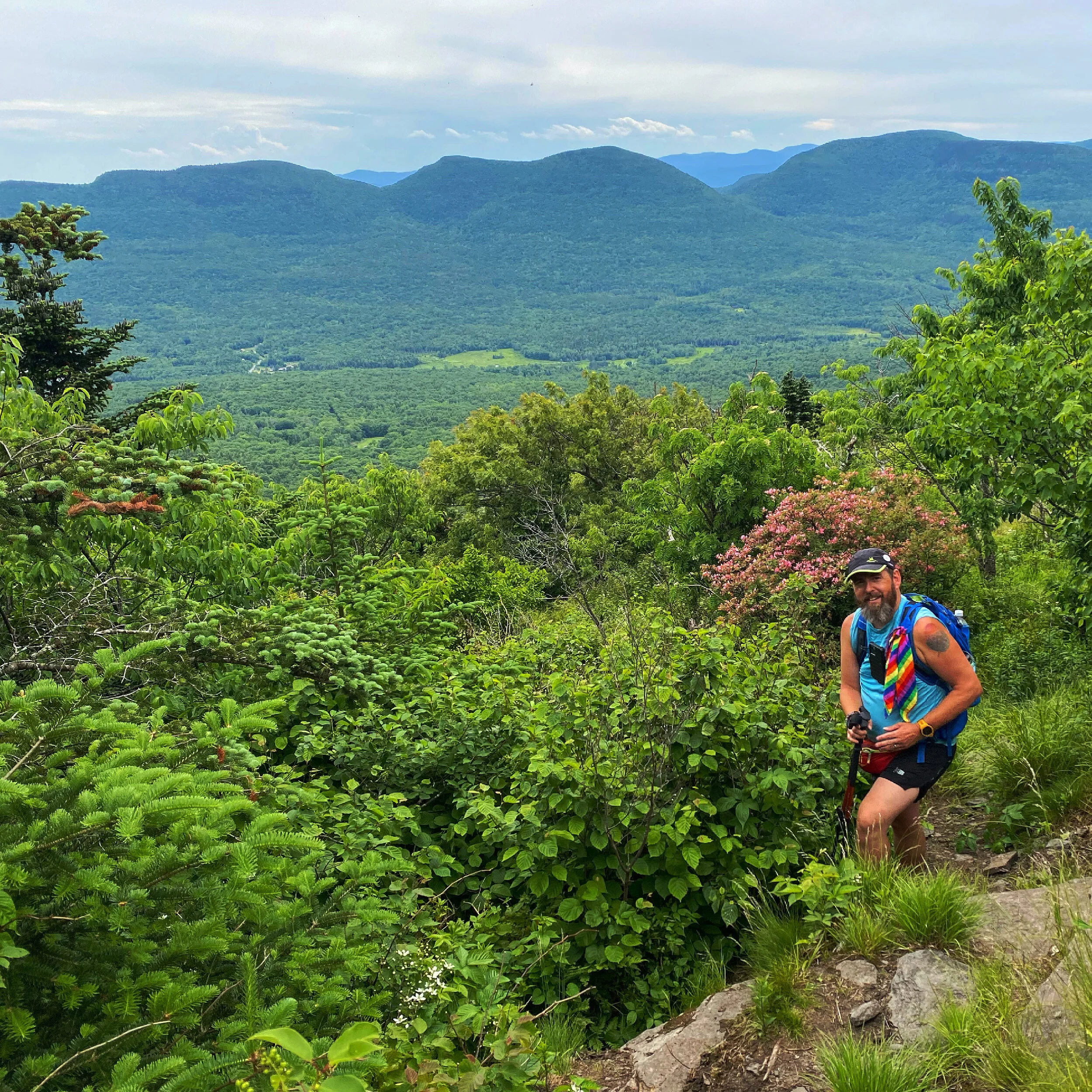 The Catskills - Bushwhacking Kaaterskill High Peak (3,652') - One of the Catskill 3500