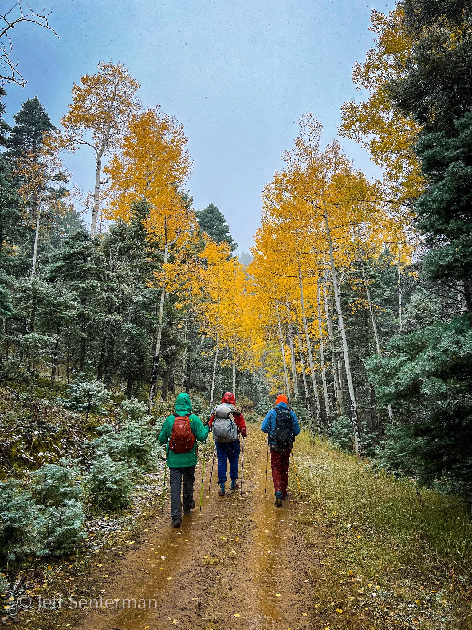 Exploring the Elliot Barker Trails in Angel Fire, New Mexico with the Oklahomo Hikers!