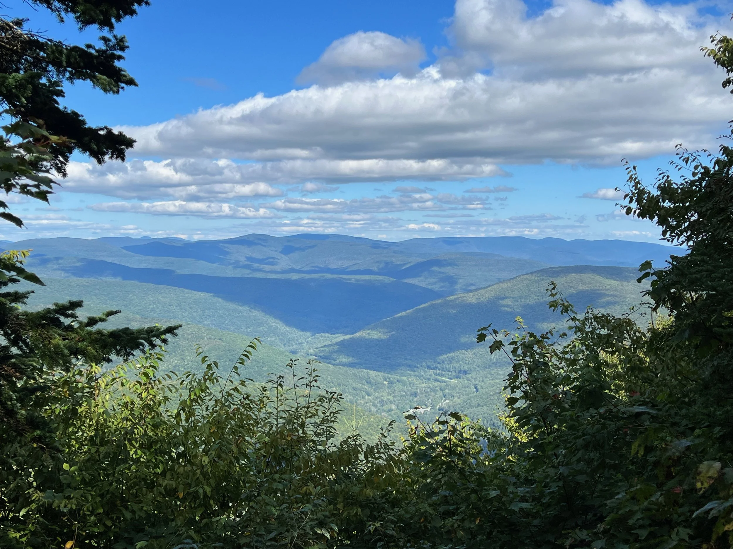Balsam Mountain Loop Hike From Rider Hollow