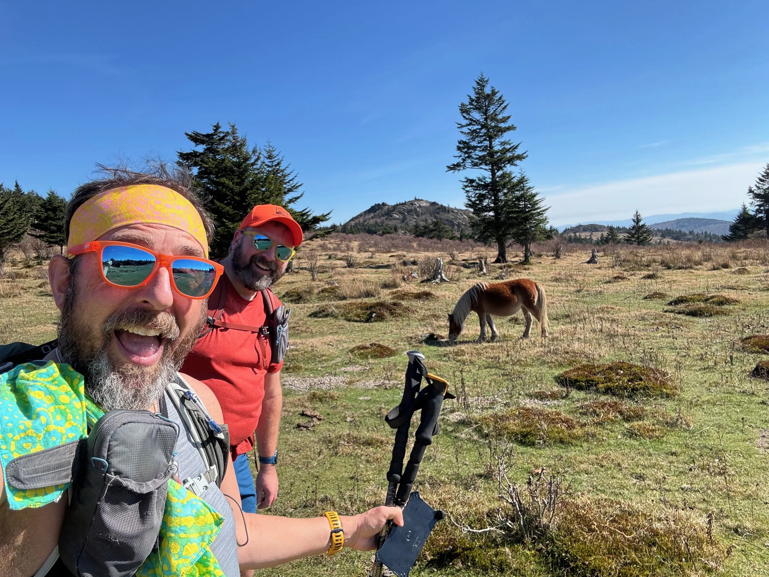 Hiking with Wild Ponies in Grayson Highlands State Park, Virginia