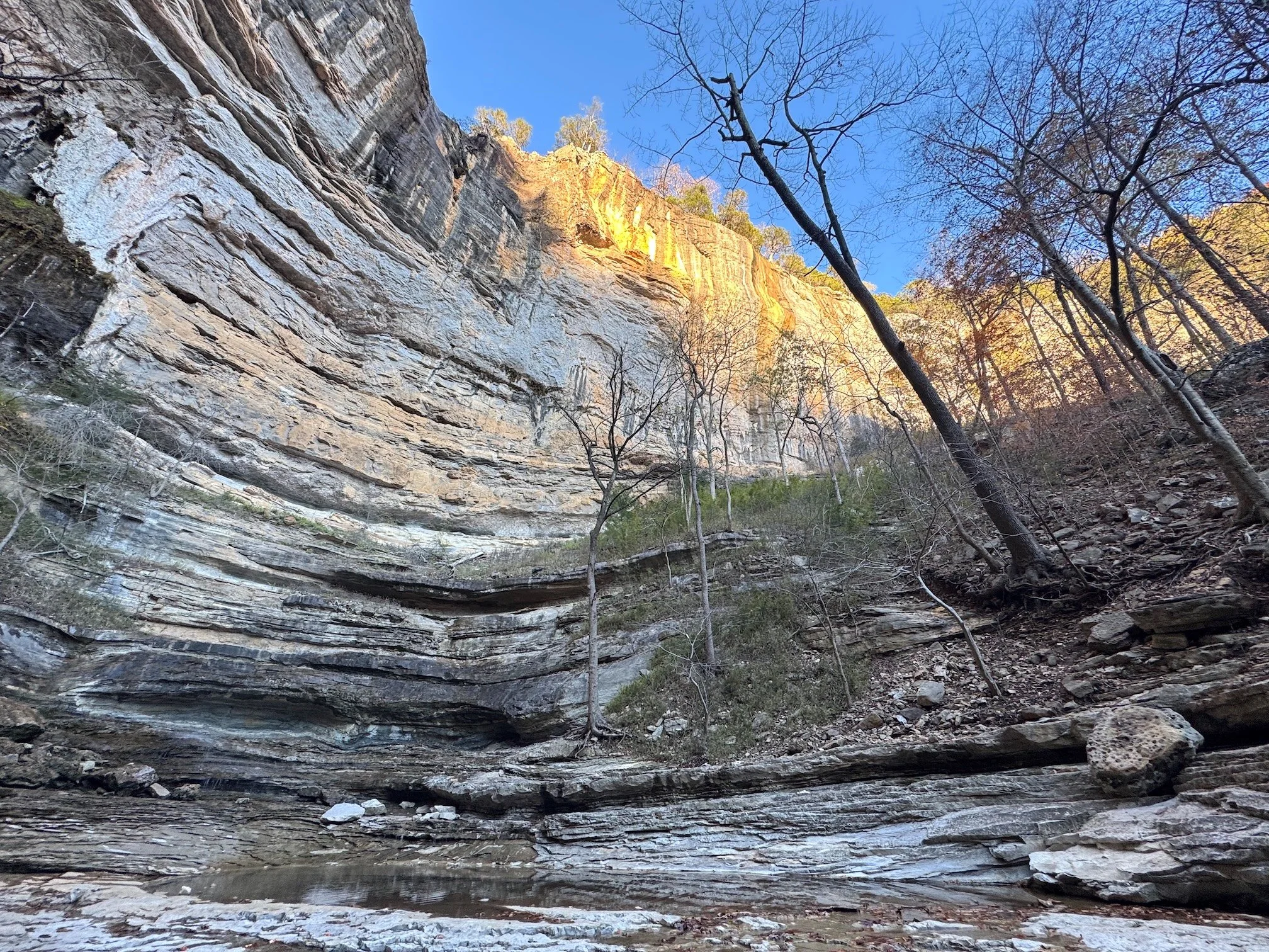 Hiking to Hemmed-In-Hollow Falls via the Sneeds Creek Trail and Hemmed-In-Hollow Trail Loop