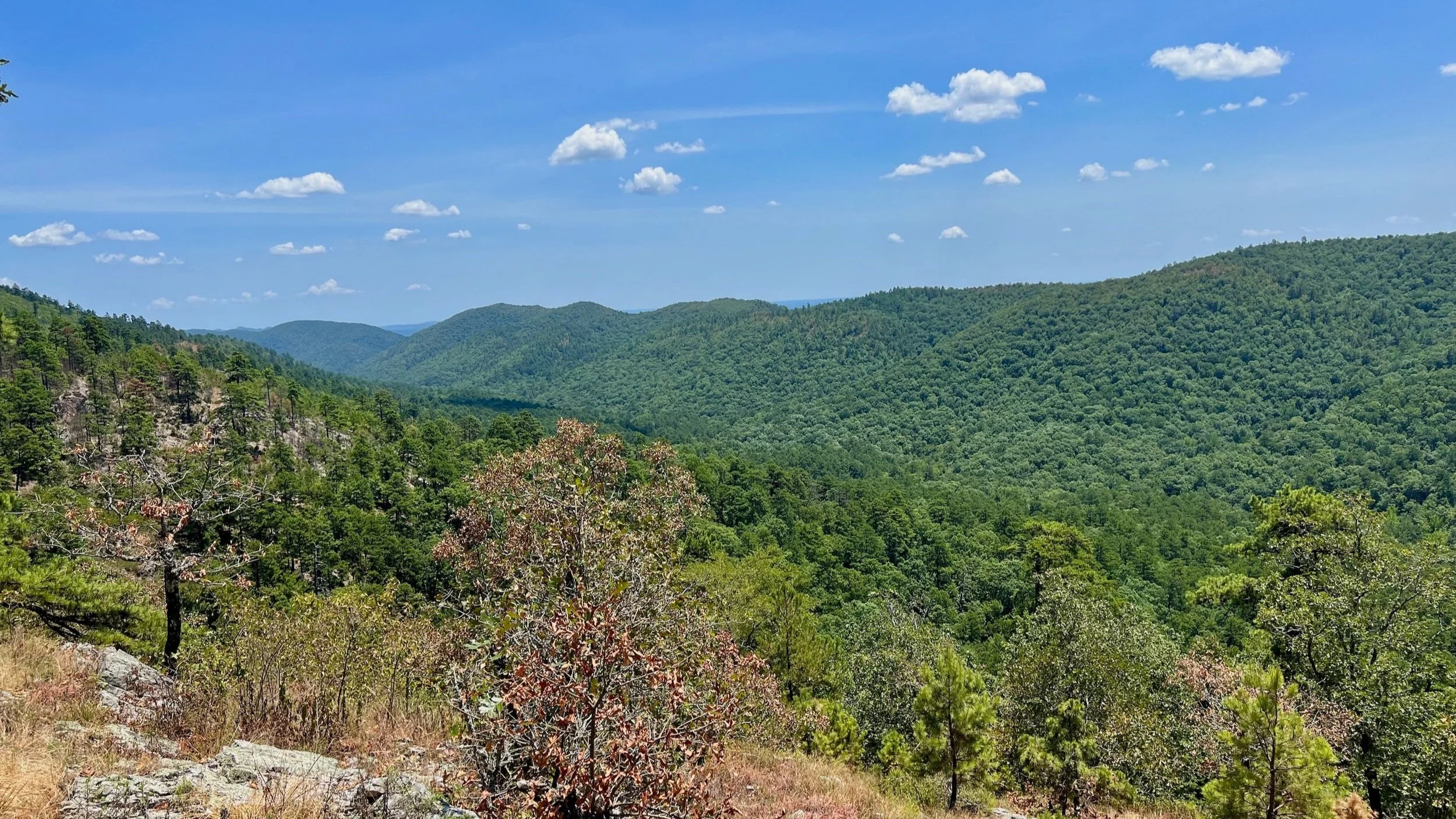 Eagle Rock Loop Hike - Guide to hiking one of best hikes in the Ouachita Mountains of Arkansas