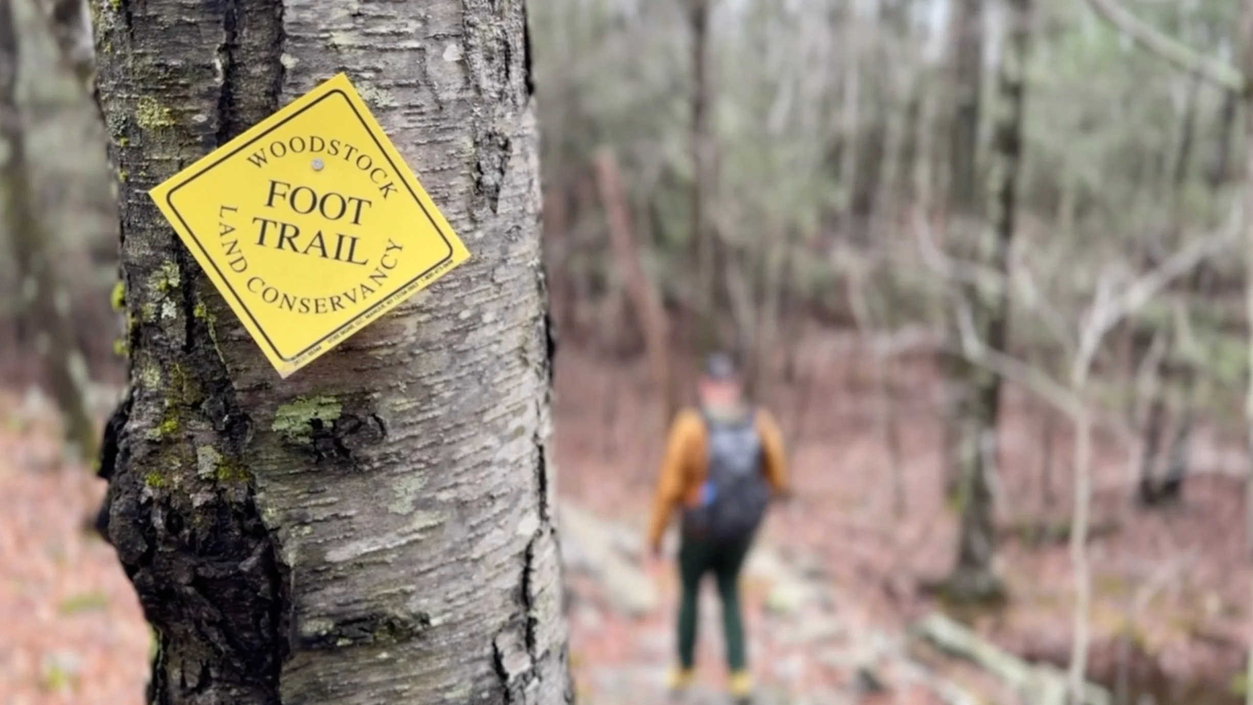 Hiking the Catskills - Hiking Sloan Gorge Preserve in Woodstock