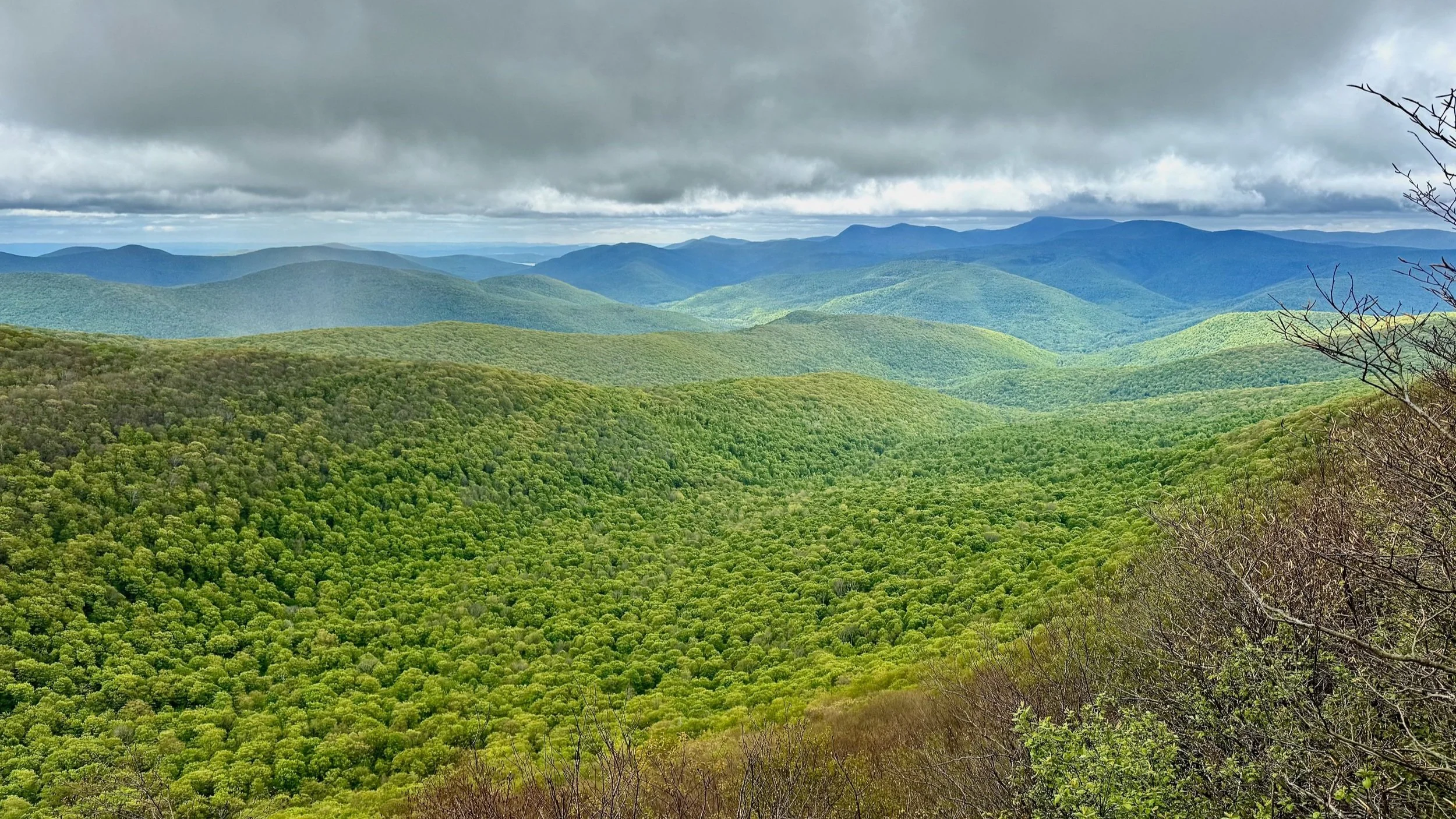 Hiking the Catskills | Bushwhacking to Mount Sherrill Summit: A Catskills Trailless Adventure
