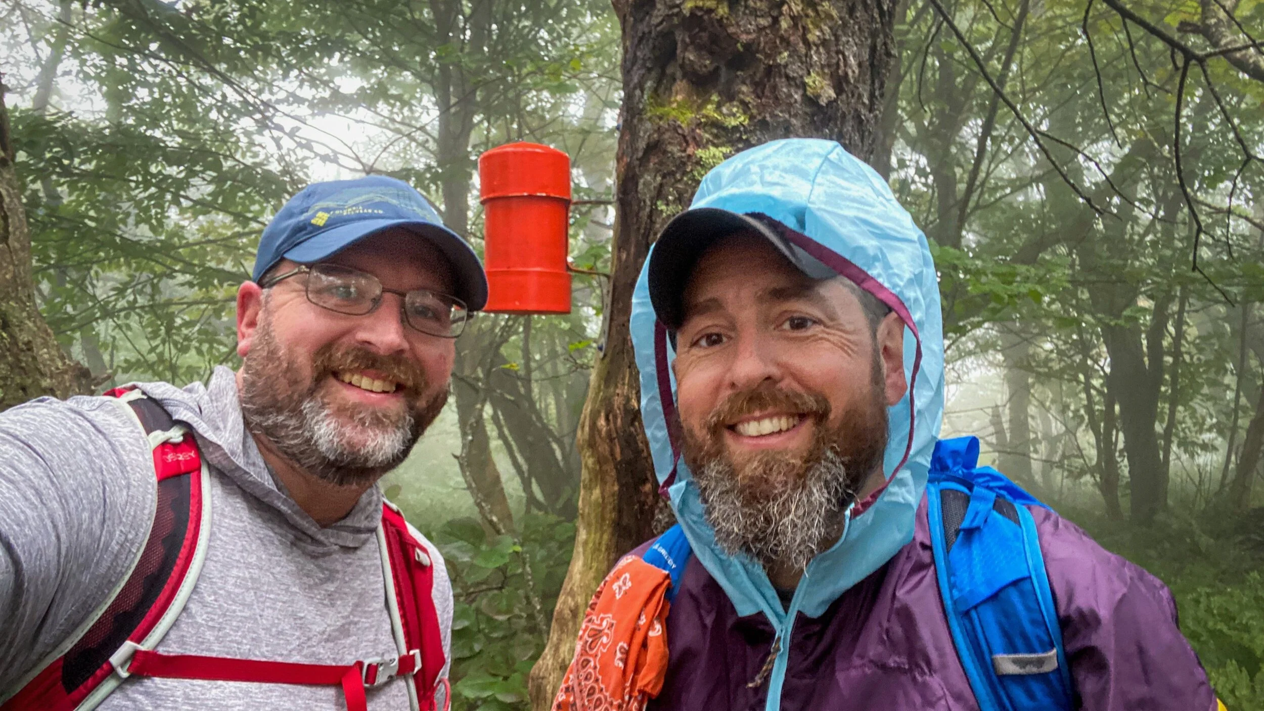 Bushwhacking Vly Mountain (3,541') in the Catskills - Part of the Catskill 3500