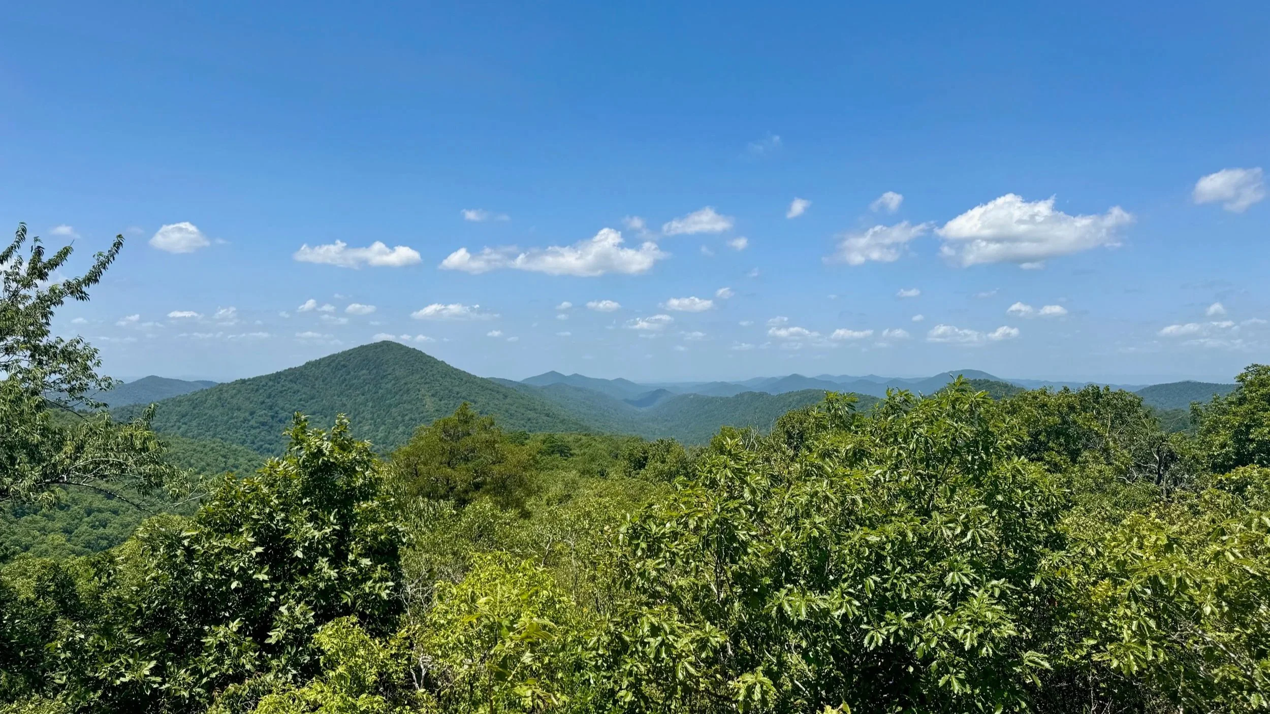 Buckeye Caney Creek Loop Trail Guide - Ouachita Mountains of Arkansas - Ouachita National Forest