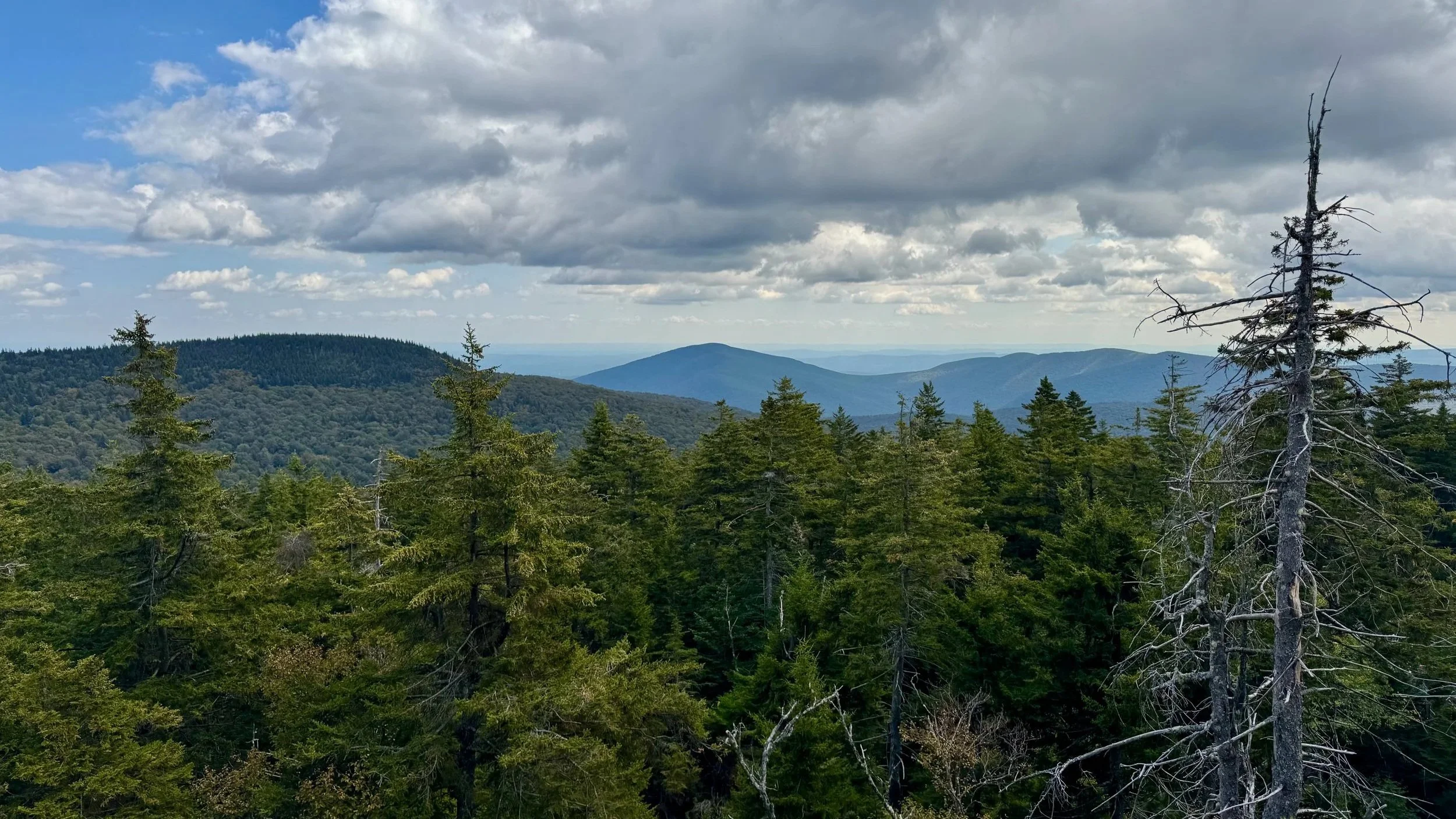 Hiking Rocky, Lone, and Table Mountains: A Wild Catskills 3500 Loop from Denning Trailhead