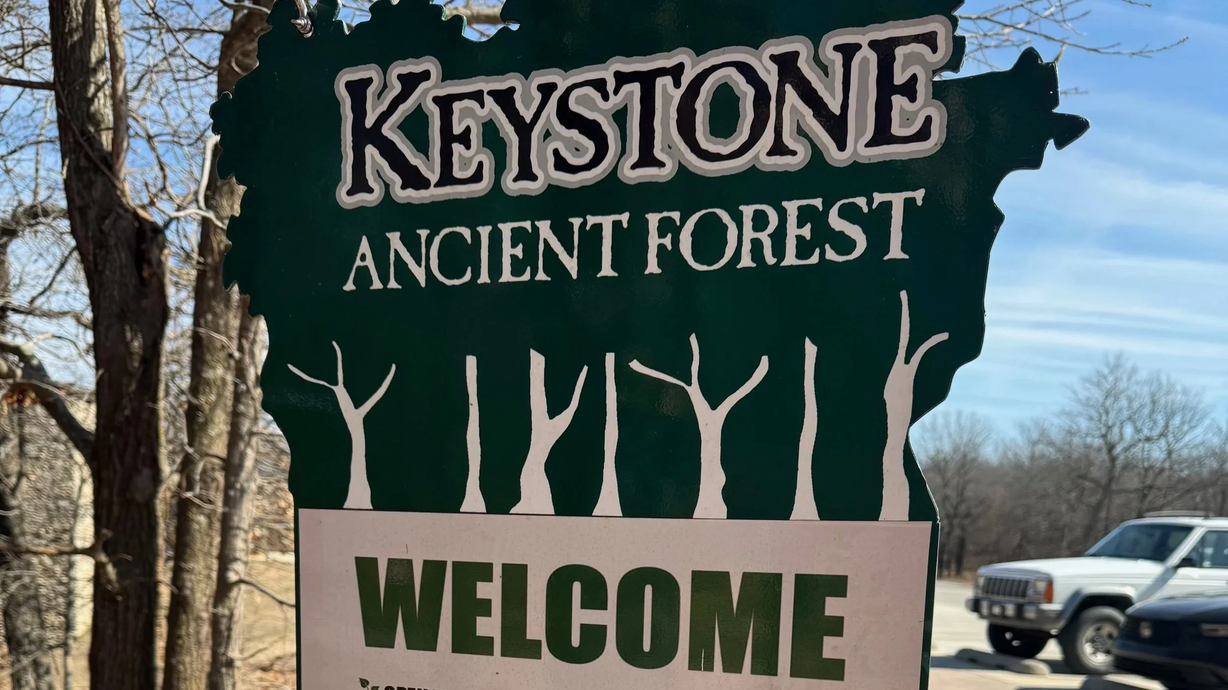 Falls Trail Loop Hiking Guide: Keystone Ancient Forest, Sand Springs OK