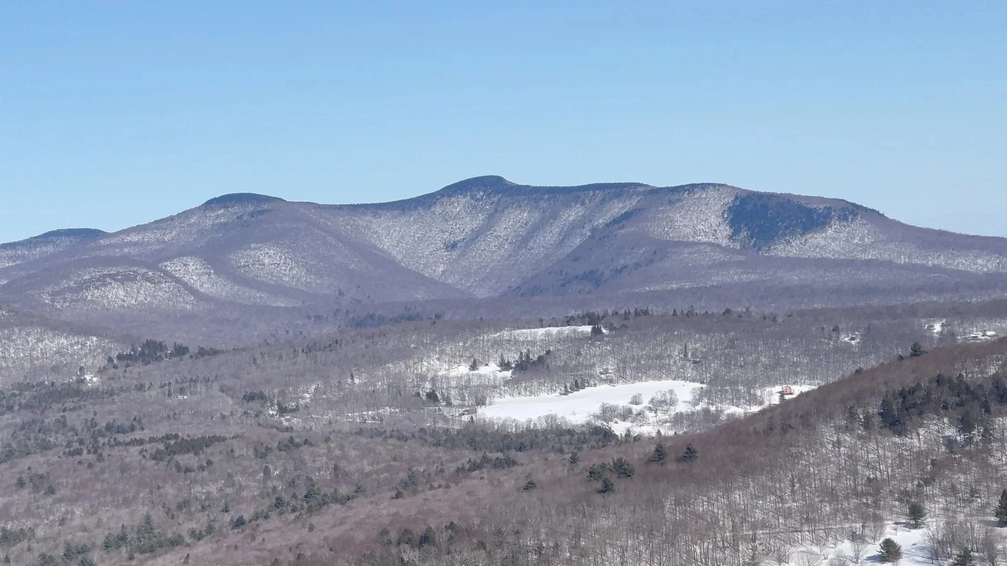 Red Hill Fire Tower Winter Hike from Denning Road: Snowshoe Guide, Trail Stats, and Catskills Views