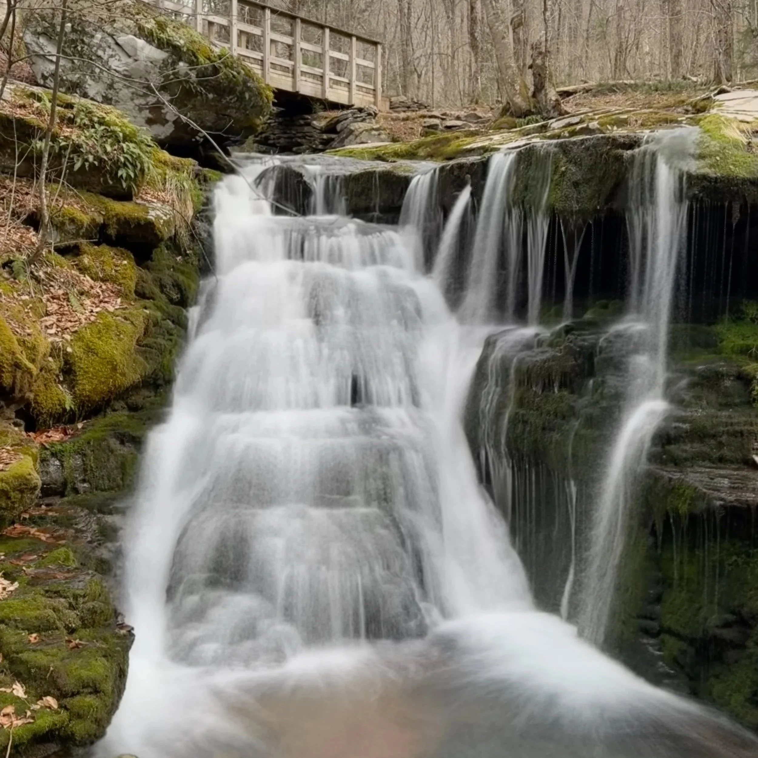Diamond Notch Falls Hike in the Catskills: Easy, Family-Friendly Trail from Spruceton Road