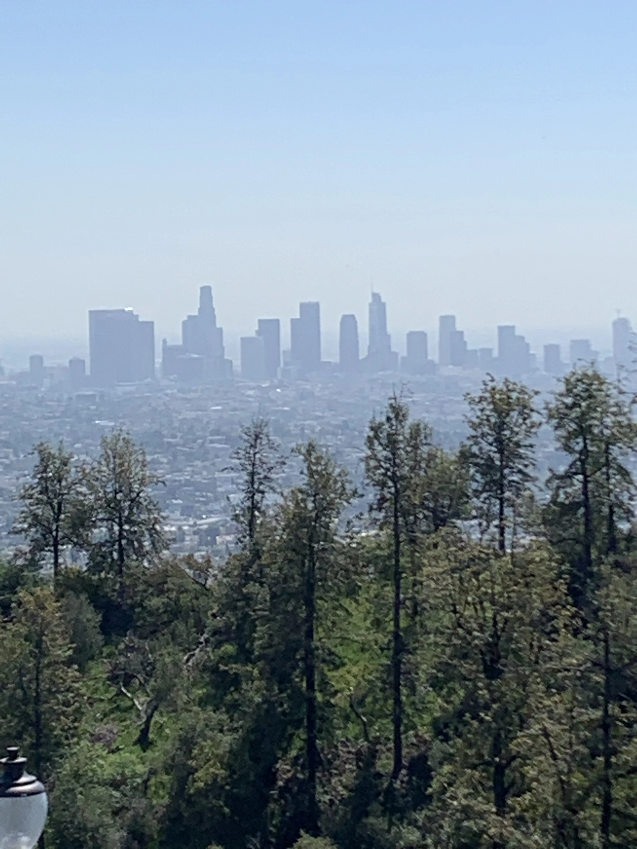 Downtown LA from Griffith Park Observatory photo Nicki Voss.jpeg