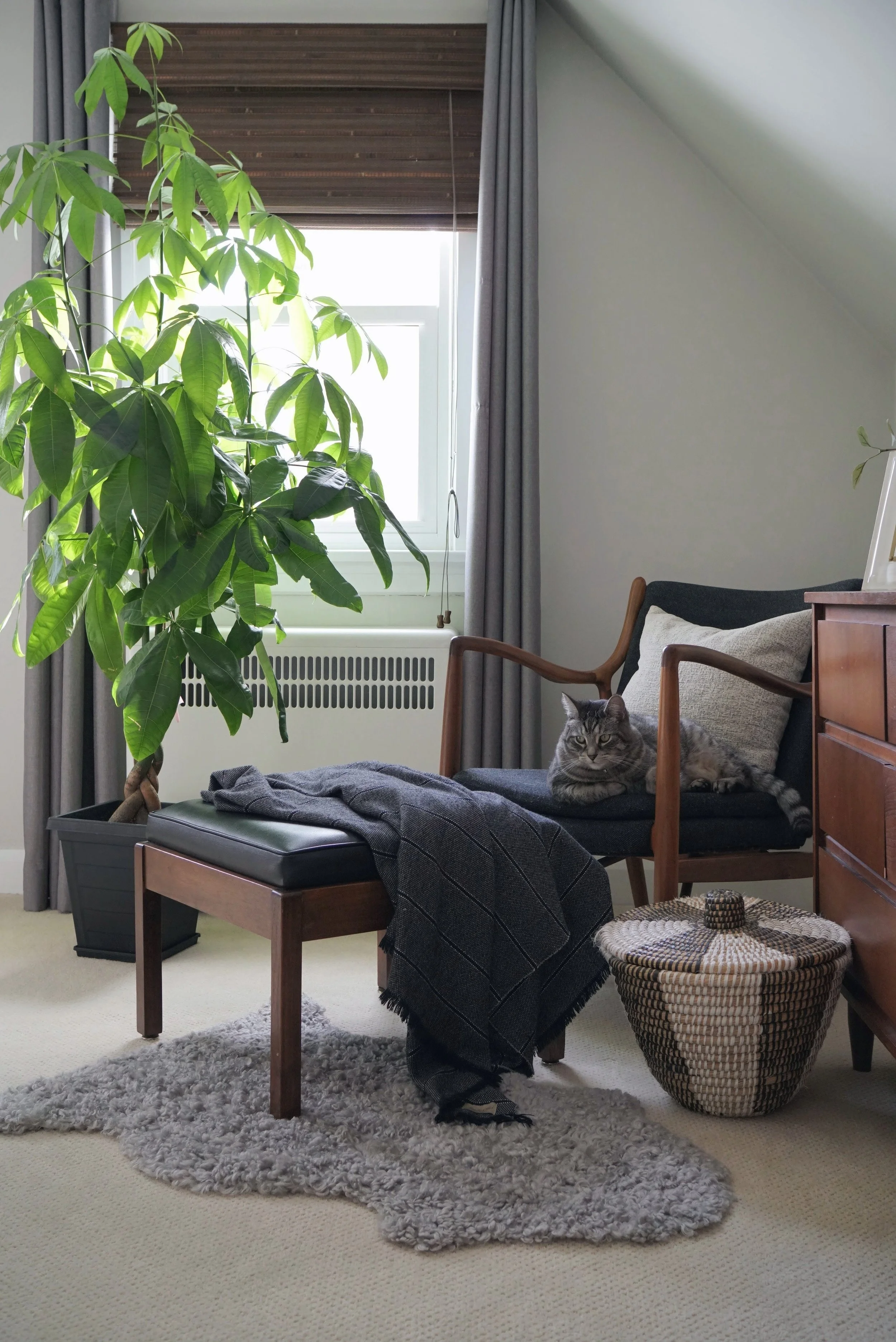 Primary bedroom mid-century modern reading chair corner - Cheryl Lee Interiors