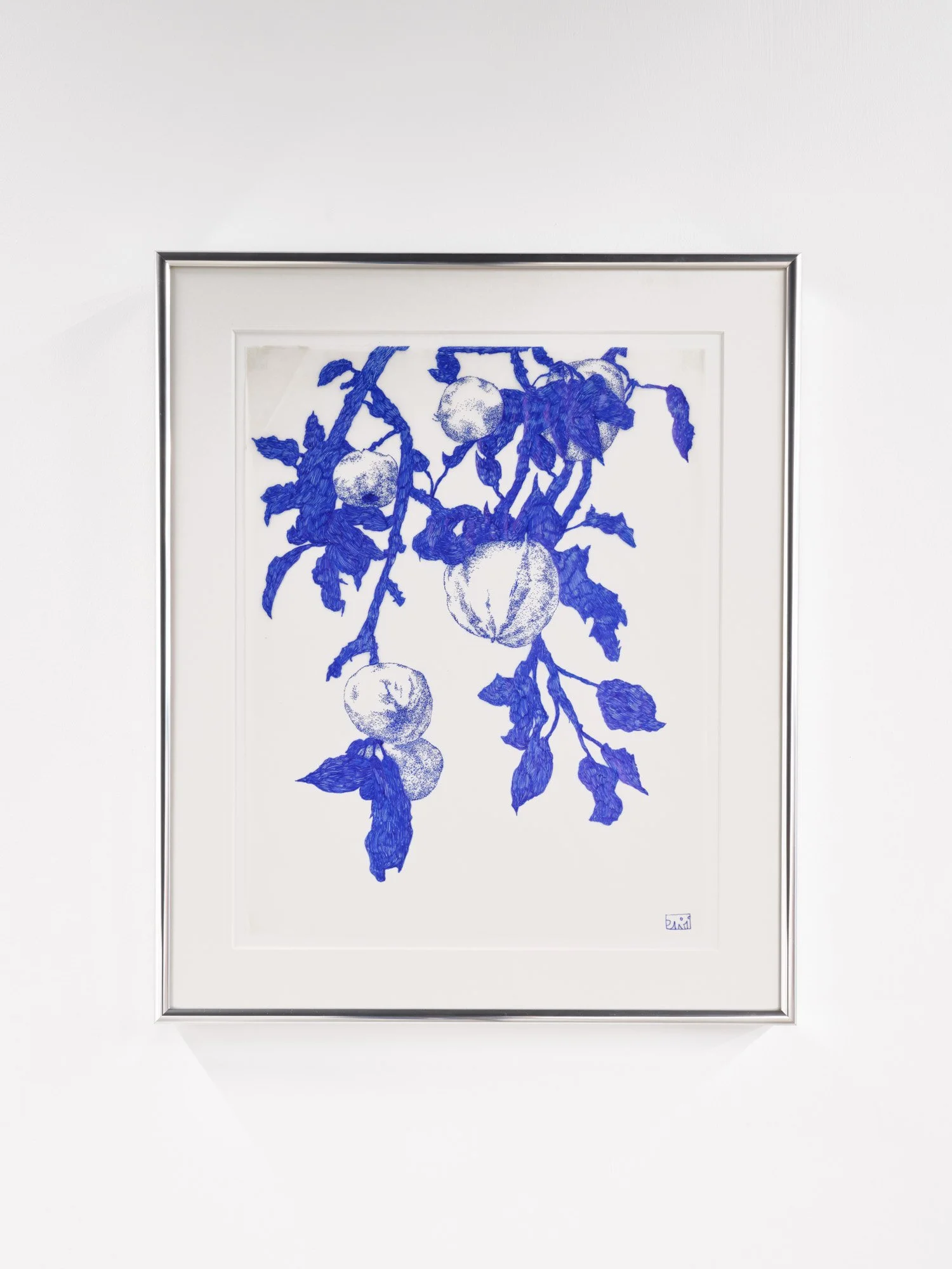   orange , 2025  Ballpoint pen on vellum  11 x 14 inches 