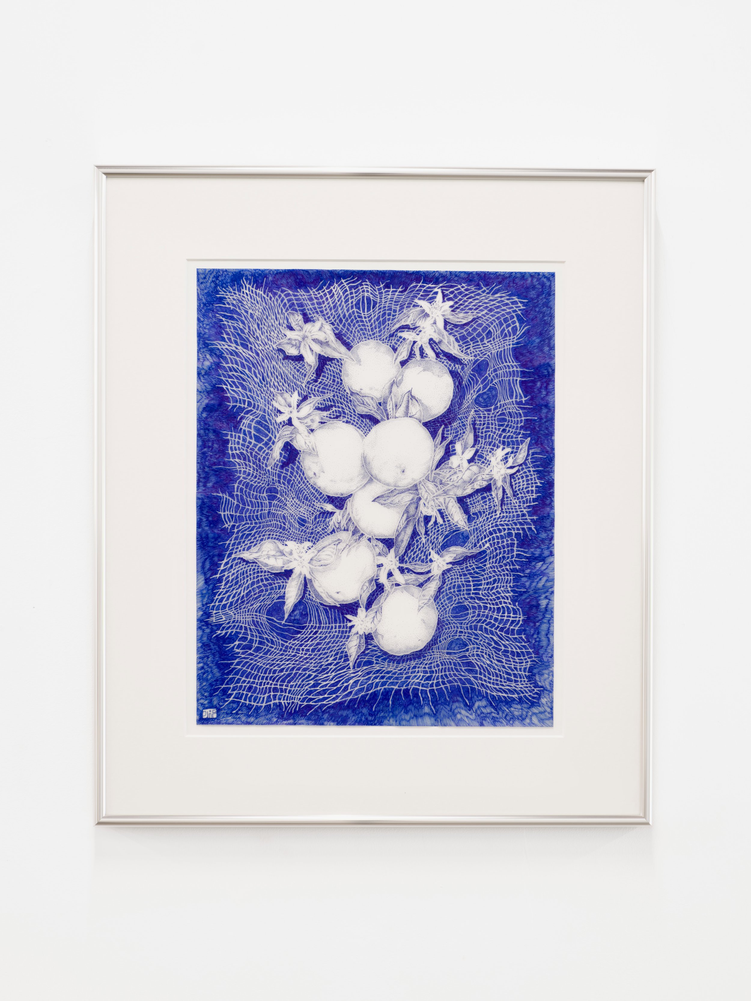 Orange Blossoms, 2026