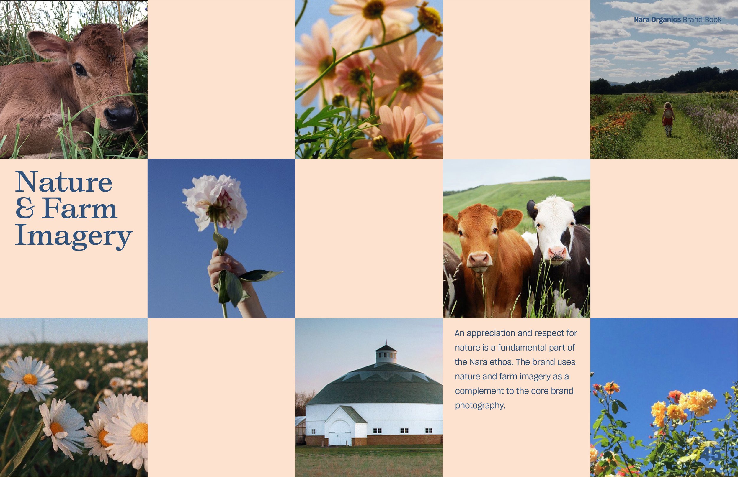 NaraOrganics_BrandBook_Final_UpdatedPhotographyPblue45.jpg