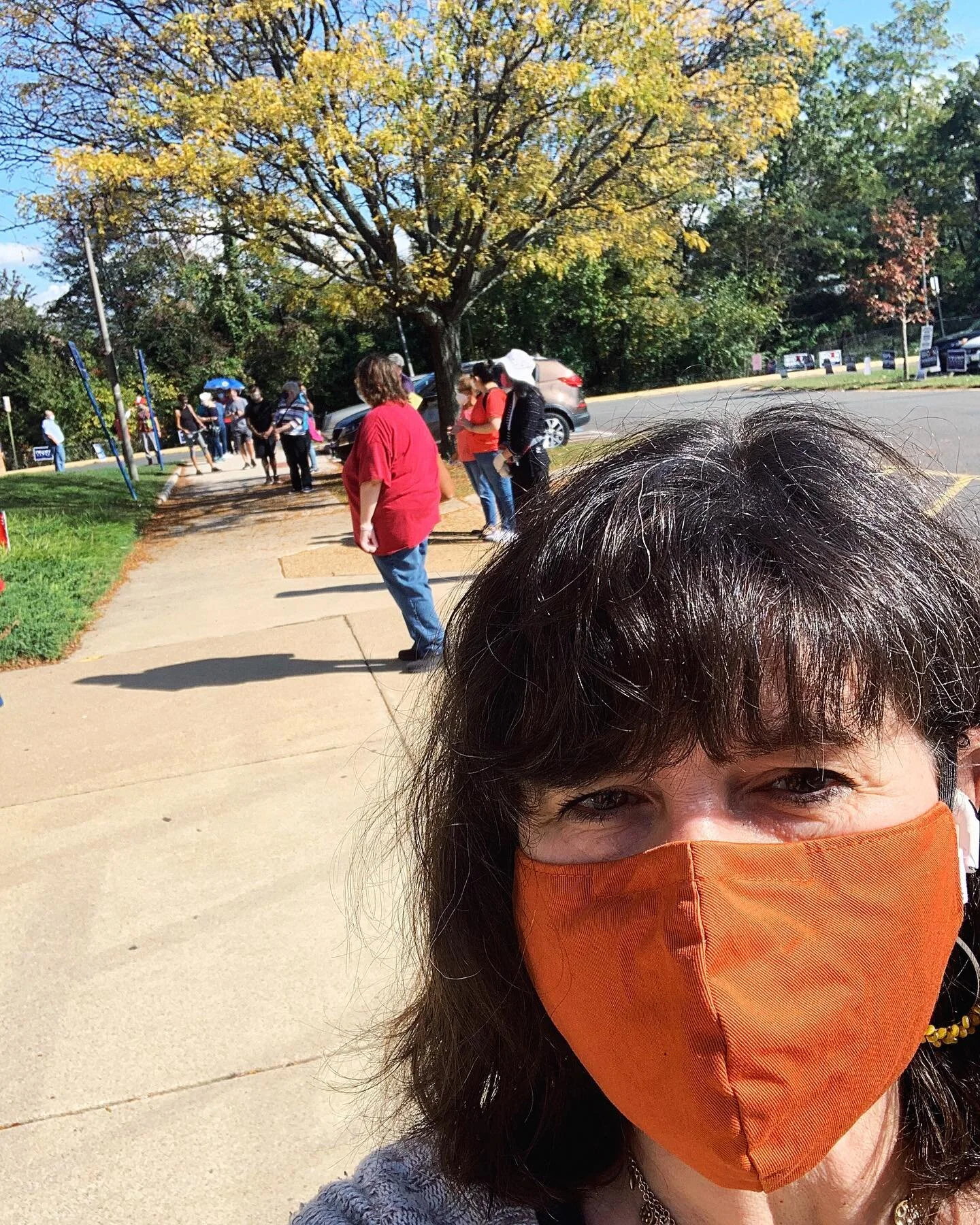 Voted today. Line was out the building, around the corner and down Columbia Pike. All told, took about an hour. 

Some observations:

&bull; No I Voted stickers (boo!)
&bull; Though good intentioned, people have varying ideas of what 6 feet apart mea