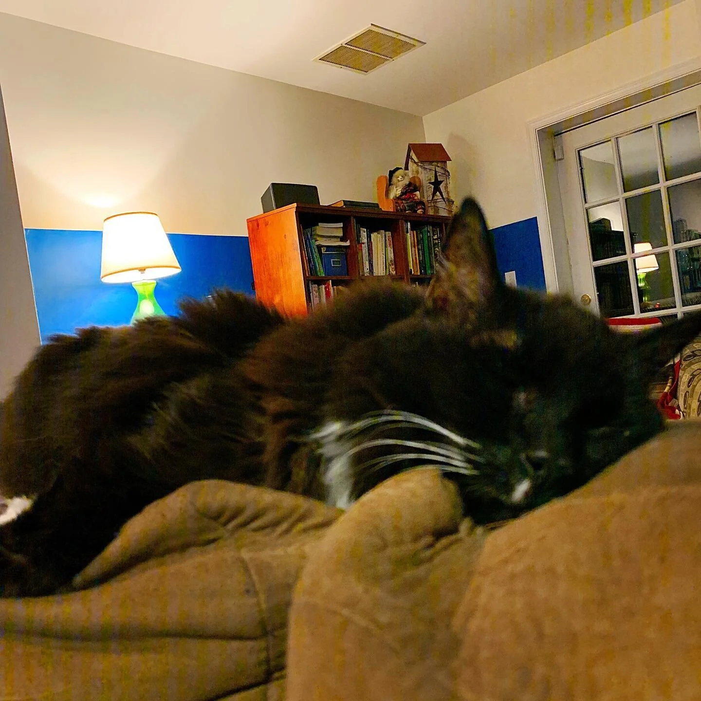 Evening mood.

#breatheinbreatheout #tinytinymoments #enneagram9 #catsofinstagram