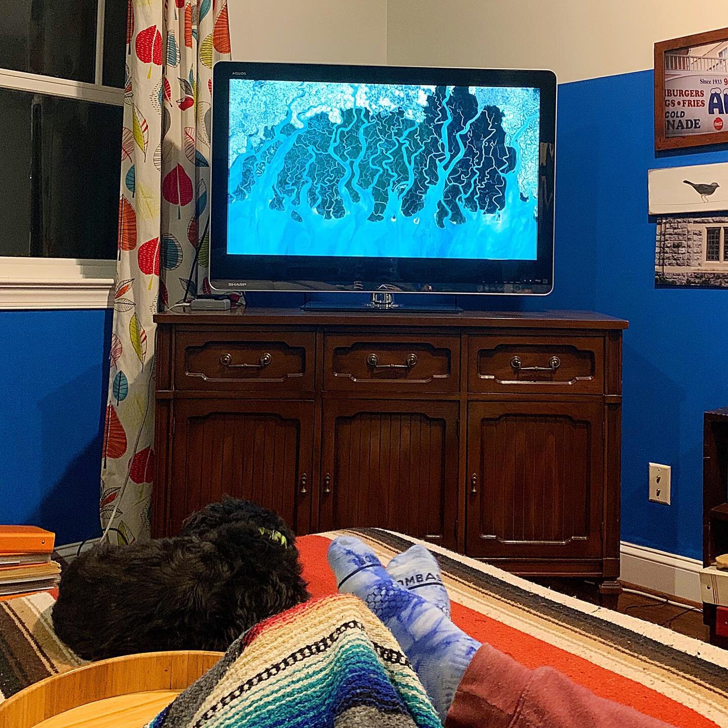 Finally getting a chance to watch Life from Above (streaming on PBS) with Kyle. Simply stunning cinematography. Brings back memories of watching Blue Planet together when the boys were younger.

In the Homeschool Alliance we&rsquo;ve been talking abo