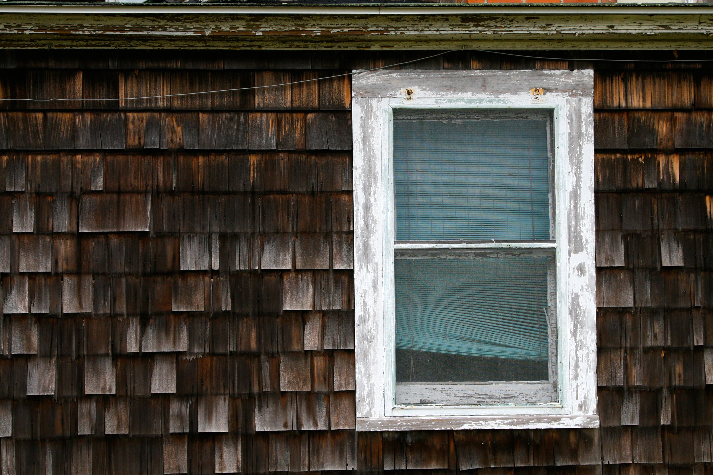 Warren House Series #1