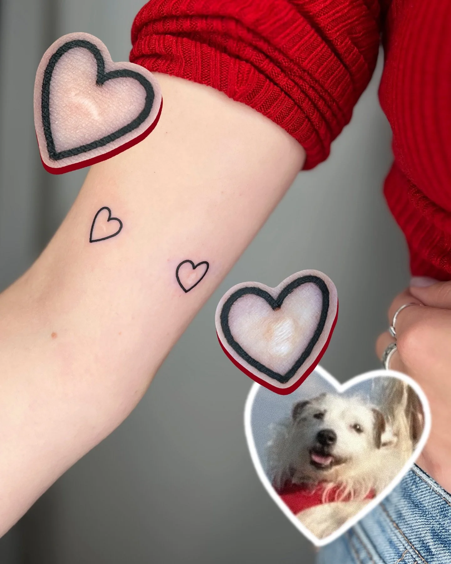 two very special memorial tattoos for my wonderful friend Lou ❤️ two little hearts to frame teeth mark scars from her late doggy Fidget (it was an accident, he was a good boy 🙂&zwj;↕️)

and a little highland cow head on the ribs, from the same littl